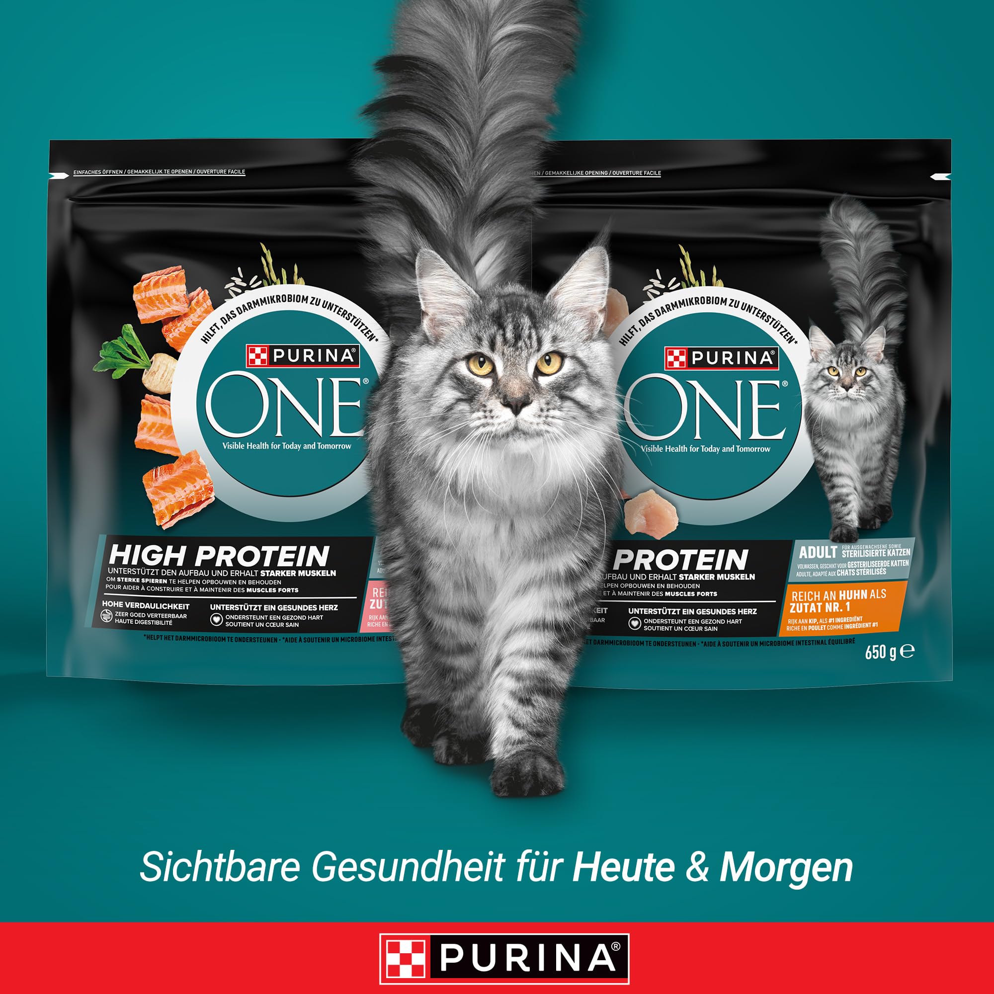 PURINA ONE High Protein, Katzenfutter trocken, reich an Lachs, 6 x 900g | Katzenfutter trocken
