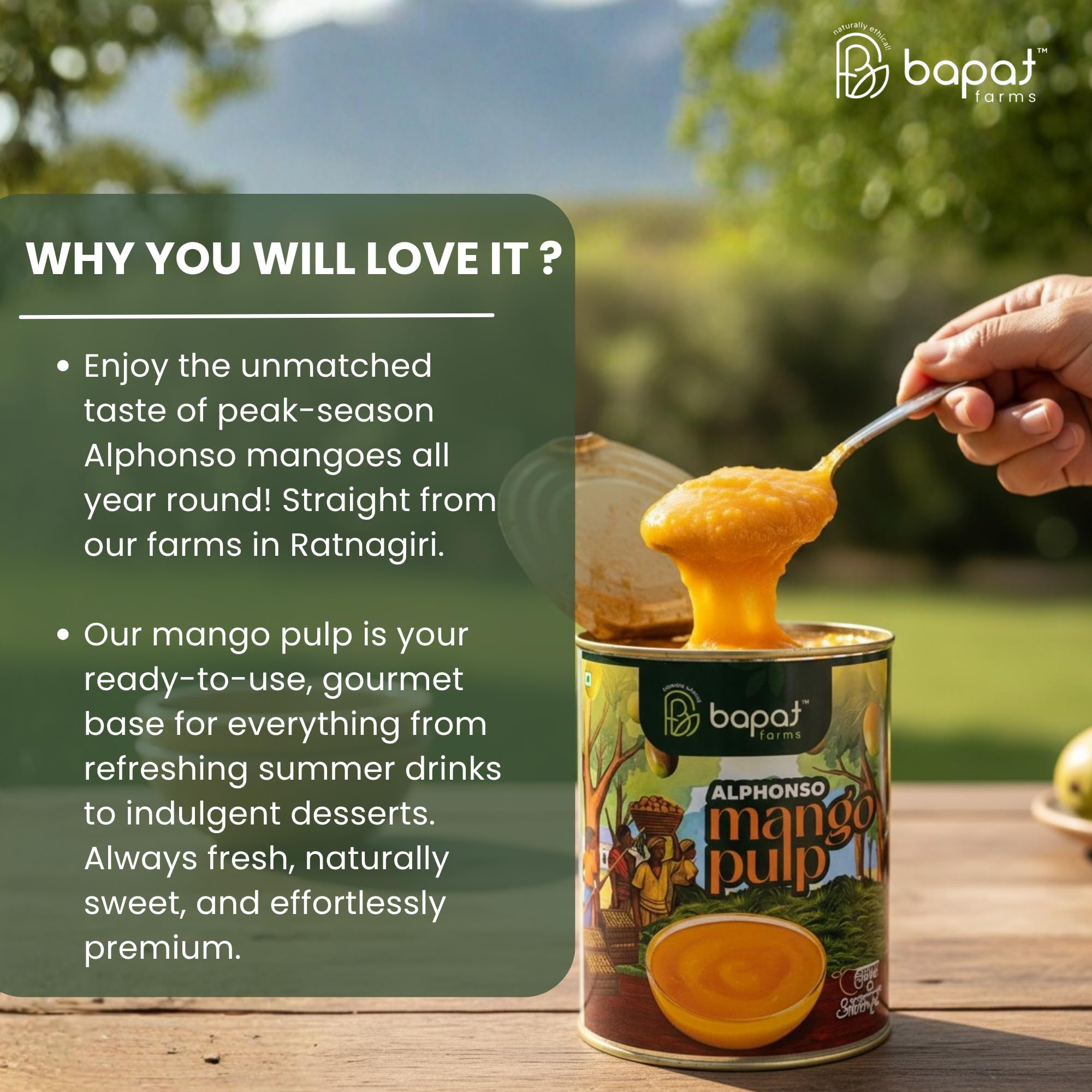 Bapat Farms Pure Alphonso Mango Pulp (Hapus), Authentic Konkan Origin, Rich & Creamy Aamras, Sweetened, 450g Tin 2