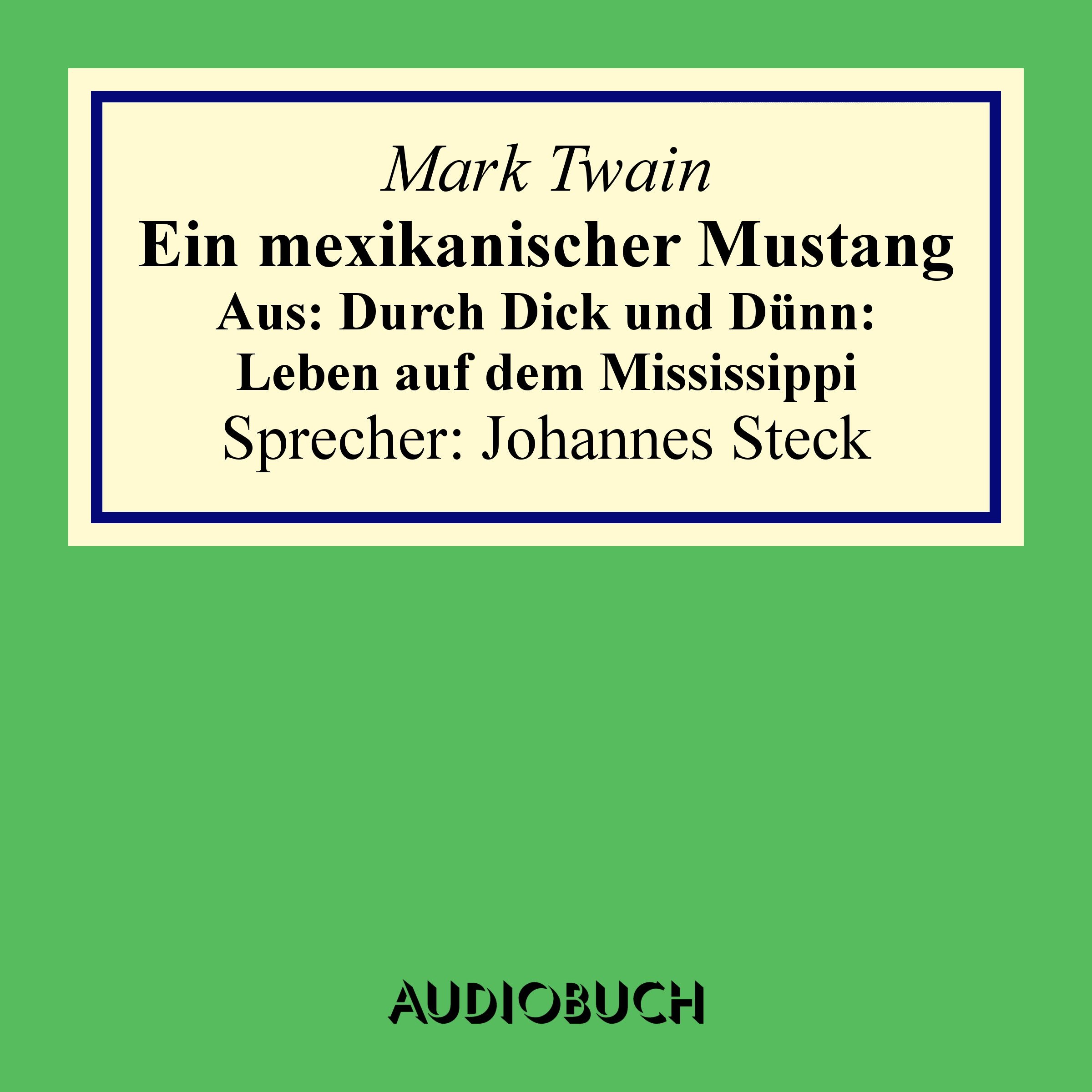 Ein mexikanischer Mustang