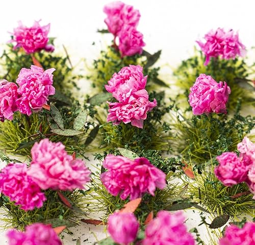 Miniatura 8 de 40 unidades de grupos de vegetación de flores en racimo de flores, modelo de paisaje estático en miniatura para bricolaje de arquitectura, modelo de