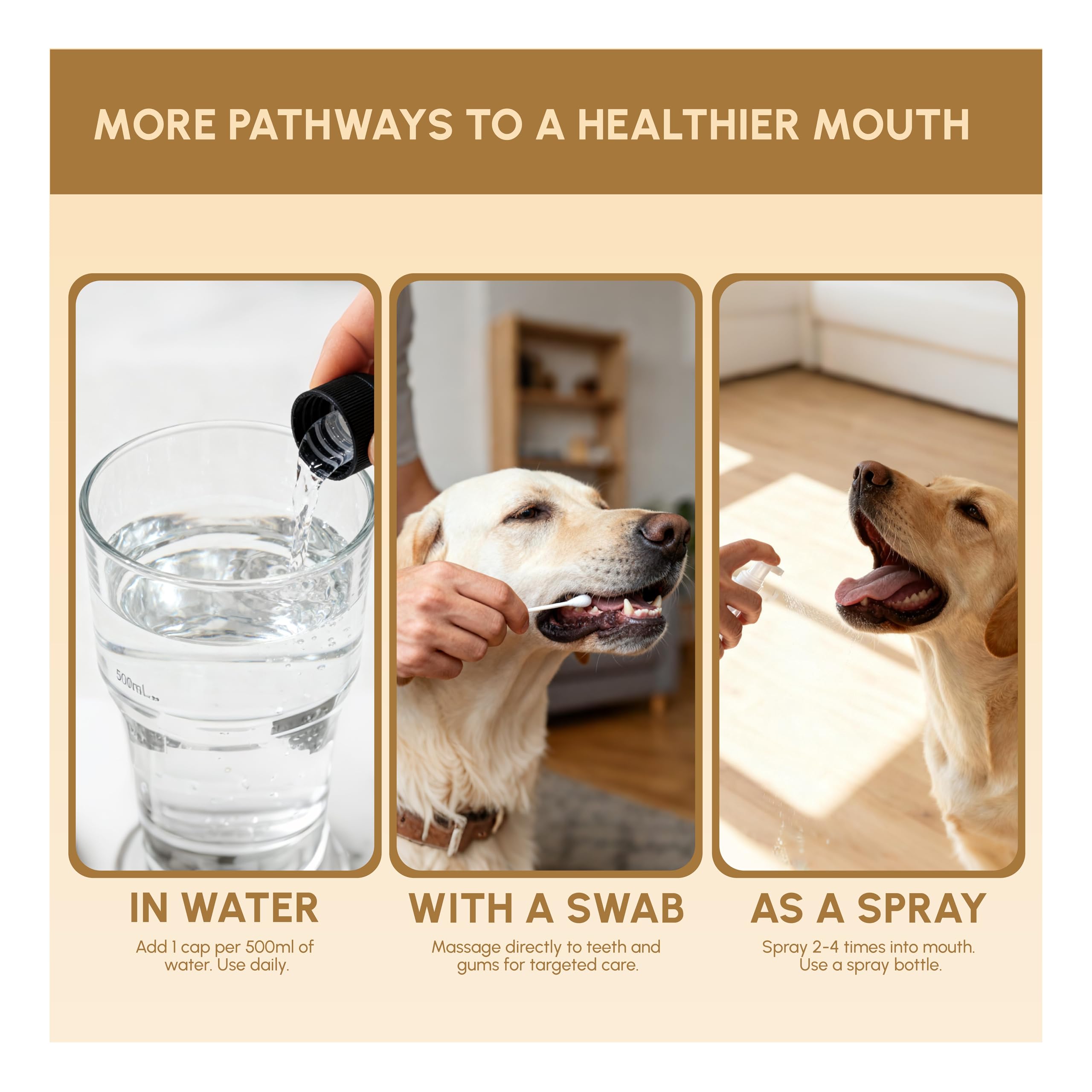 Advanced Probiotic Pet Dental Water Additive, Bio-Active Formula to Fight Oral Bacteria at The Source, Freshens Breath, Reduces Plaque & Tartar, Just Add to Water, Vet Recommended, 9.8 oz - image 6