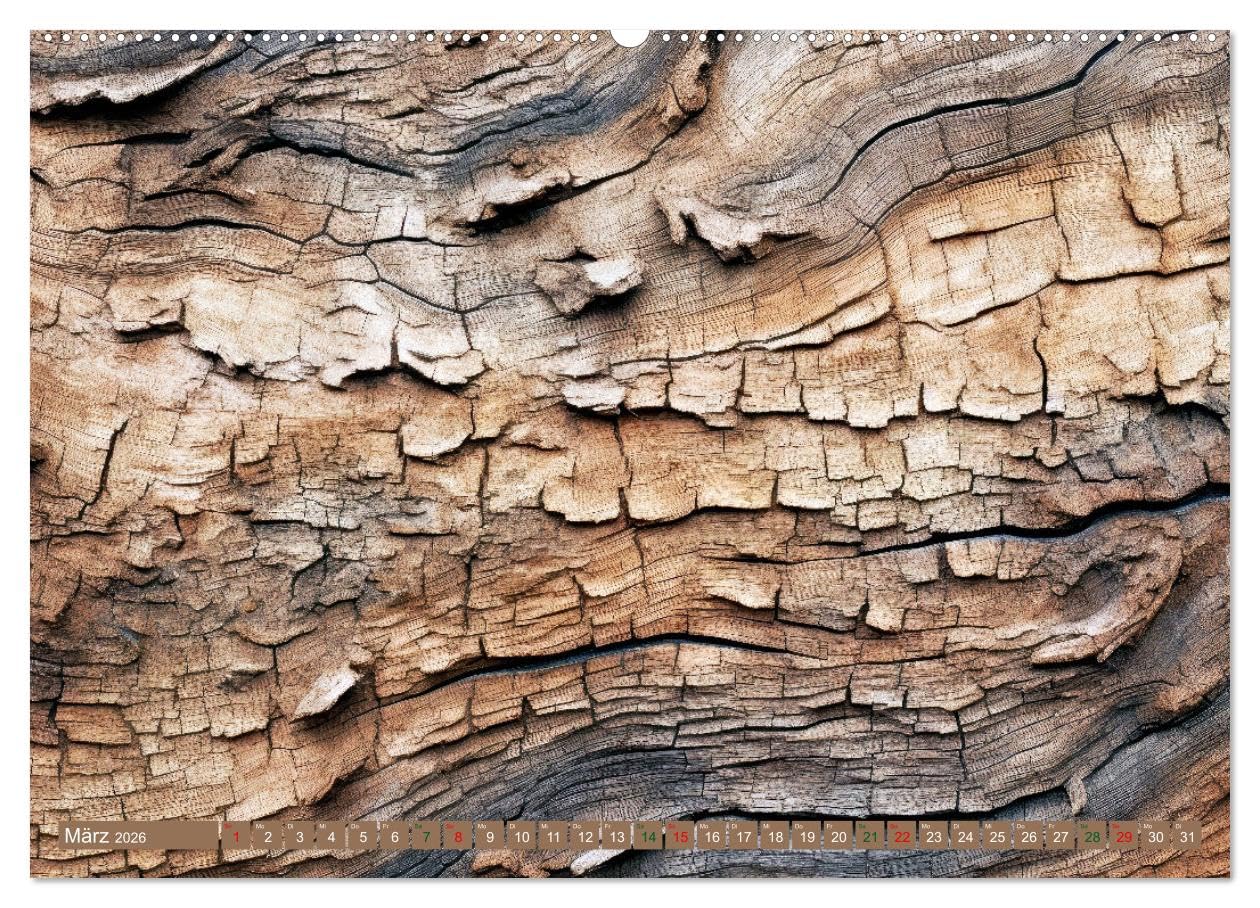 Faszination HOLZ - Strukturen (hochwertiger Premium Wandkalender 2026 DIN A2 quer), Kunstdruck in Hochglanz: Die Seele des Waldes in jedem Strich - ... Strukturen zum Leben erweckt (CALVENDO Natur)