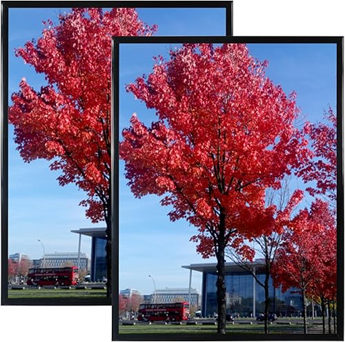 Medog Marco para póster de 24 x 36 pulgadas, color negro, para galería de estudio, colegios de pared, 24 x 36 pulgadas, 2 unidades