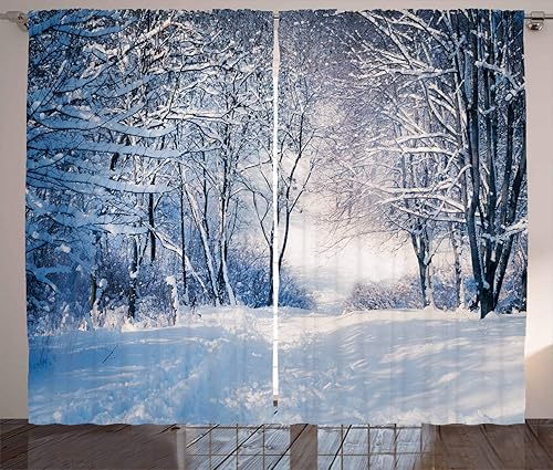 Ambesonne - Cortinas multicolores