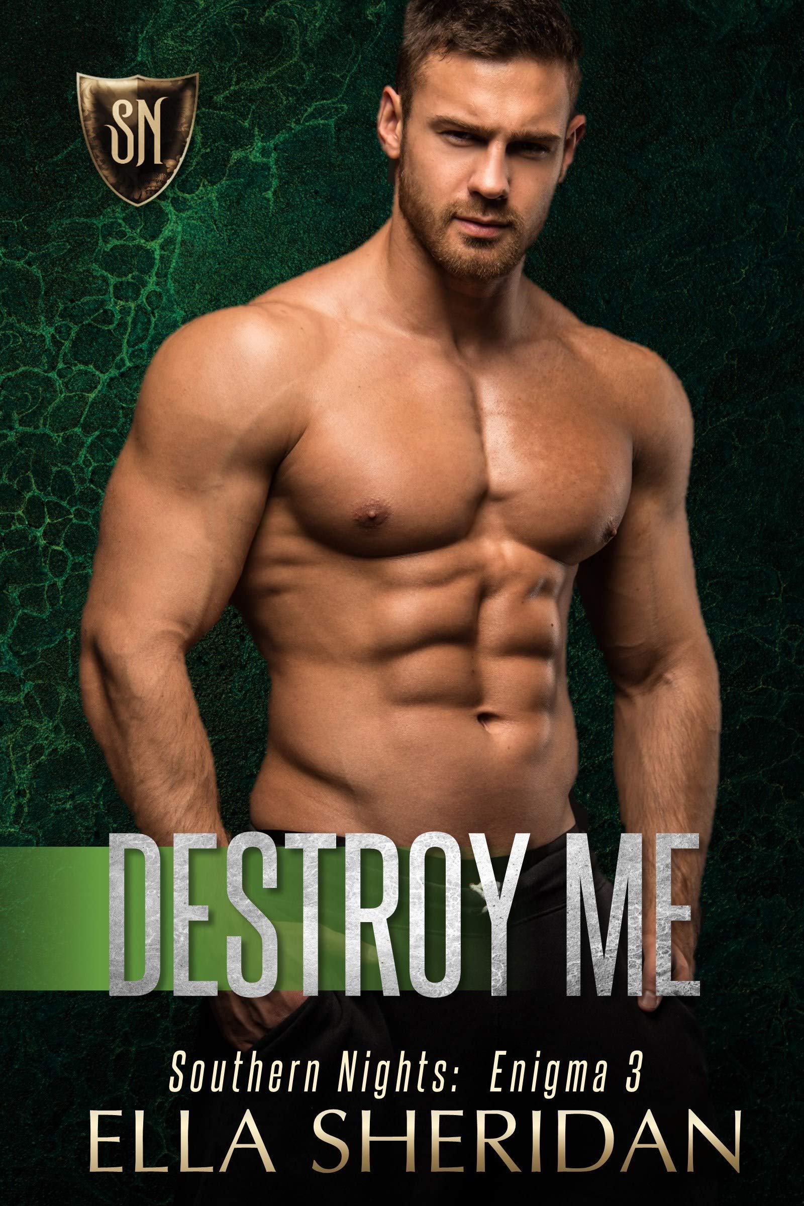 Destroy Me (Southern Nights Enigma Book 3)