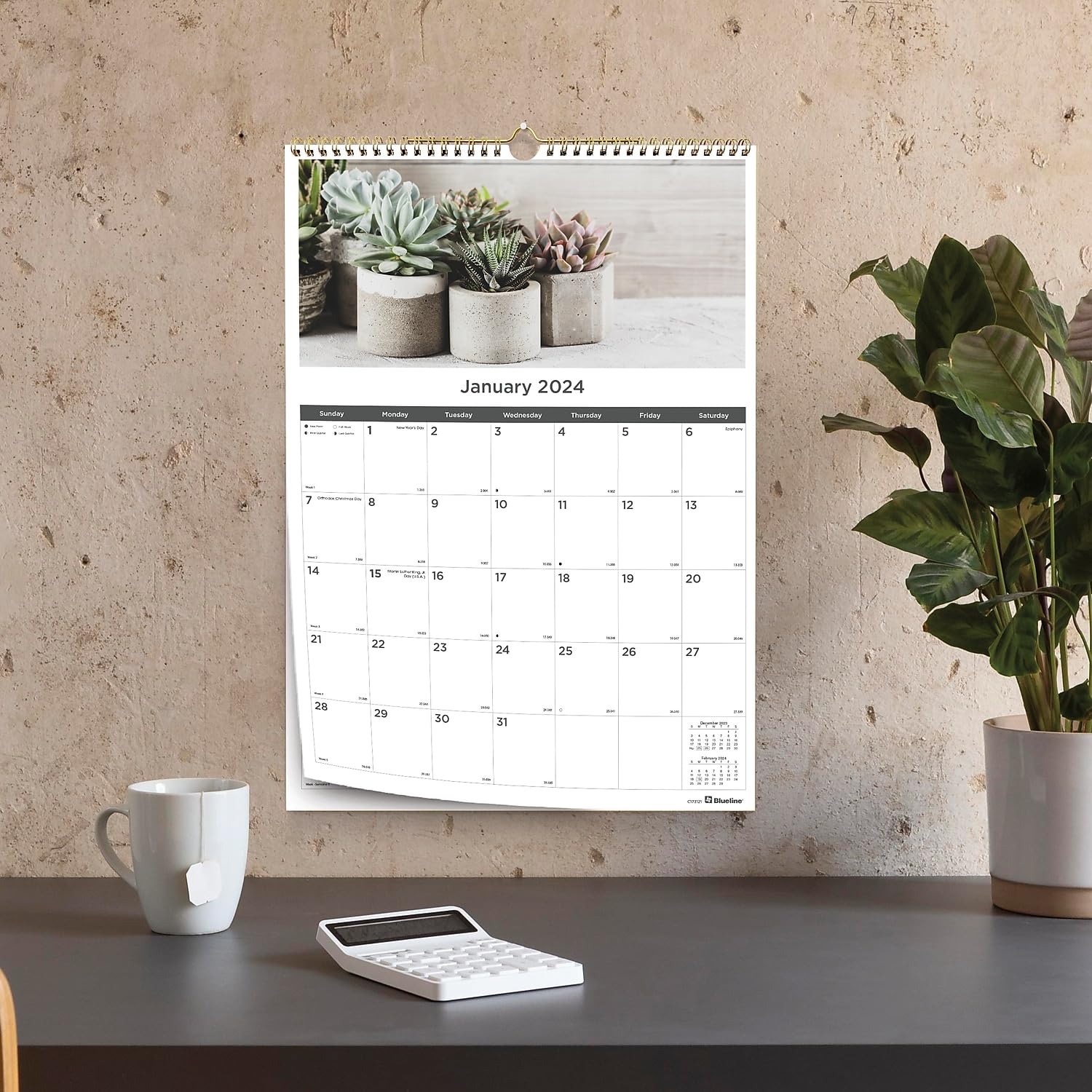 amazon-com-blueline-2024-colorful-monthly-wall-calendar-12-months-january-to-december-gold-twin-wire-binding-12-x-17-succulent-plant-design-c173121-24-office-products