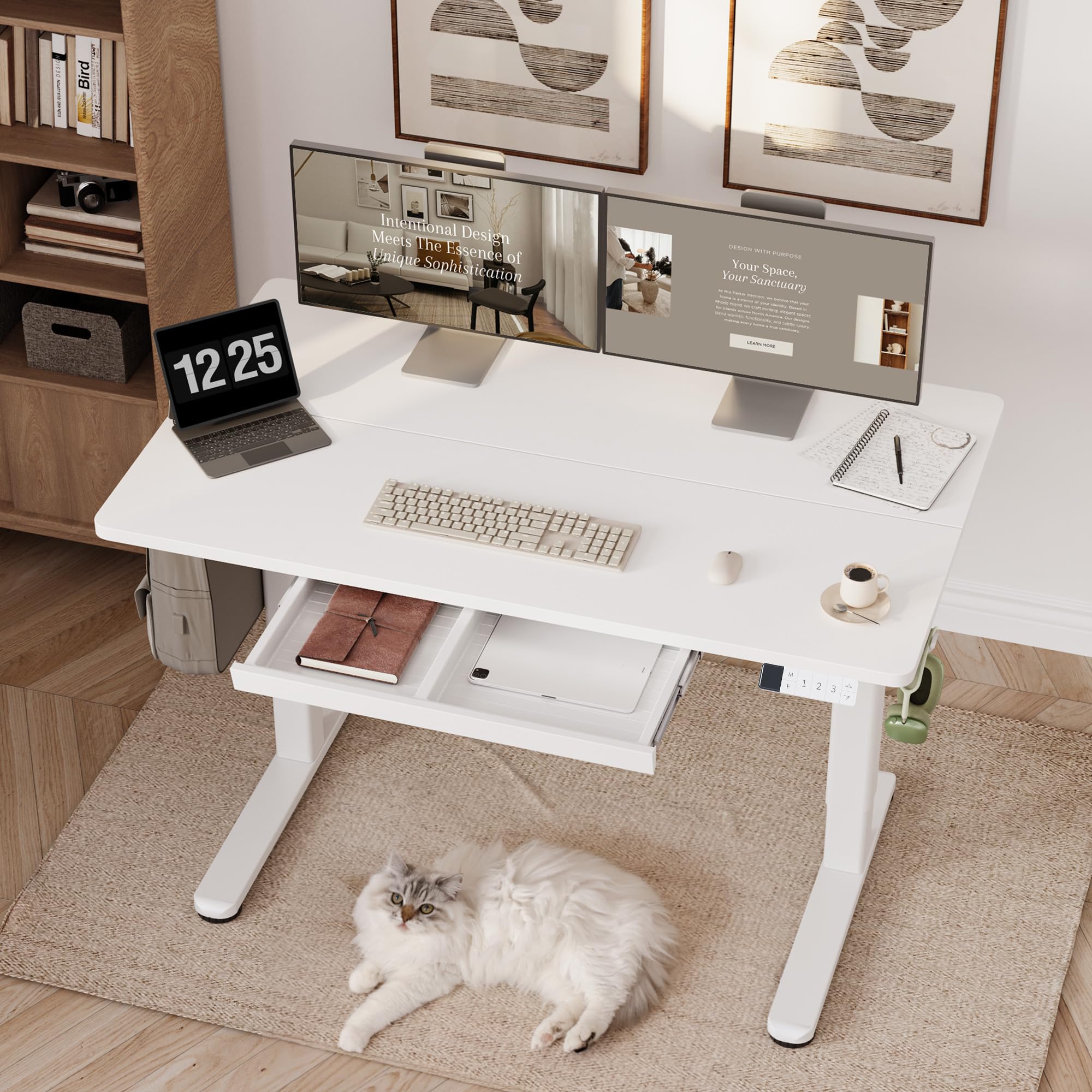 Claiks Höhenverstellbarer Schreibtisch 120x60cm mit Schublade, 80kg Tragkraft Elektrisch Schreibtisch Höhenverstellbar mit 3-Funktions-Memory und 2 Kopfhörerhaken, Standing Desk with Drawer, Weiß