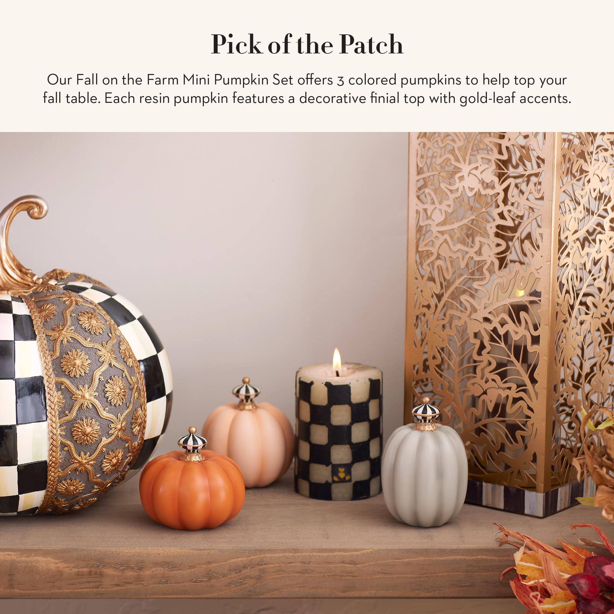 Amazon.com: MACKENZIE-CHILDS Fall On The Farm Mini Pumpkins