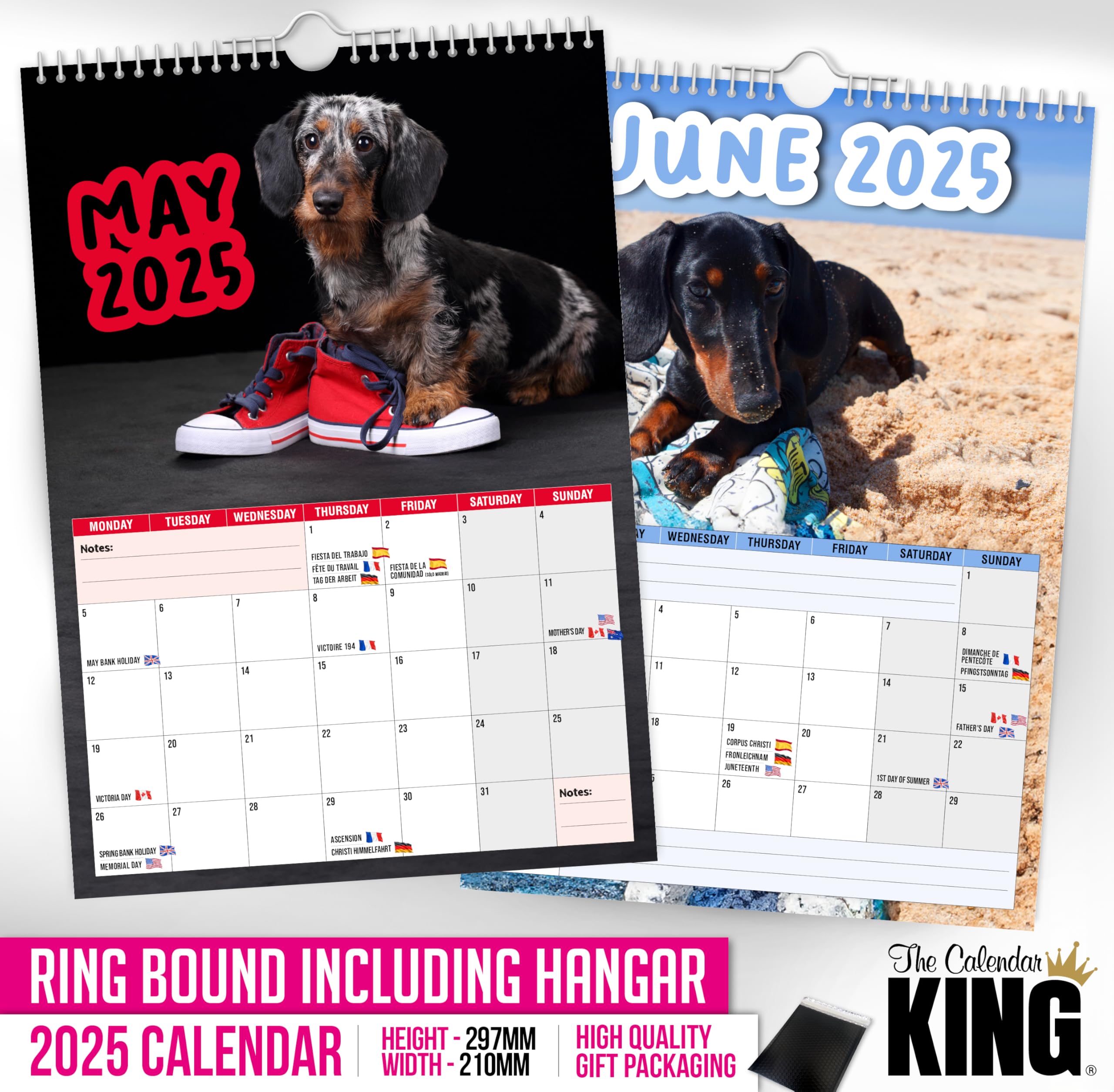 The Calendar King // Cheeky Dachshunds - 2026 Wall Calendar (Full Colour, A4 Size) *** - Image 4