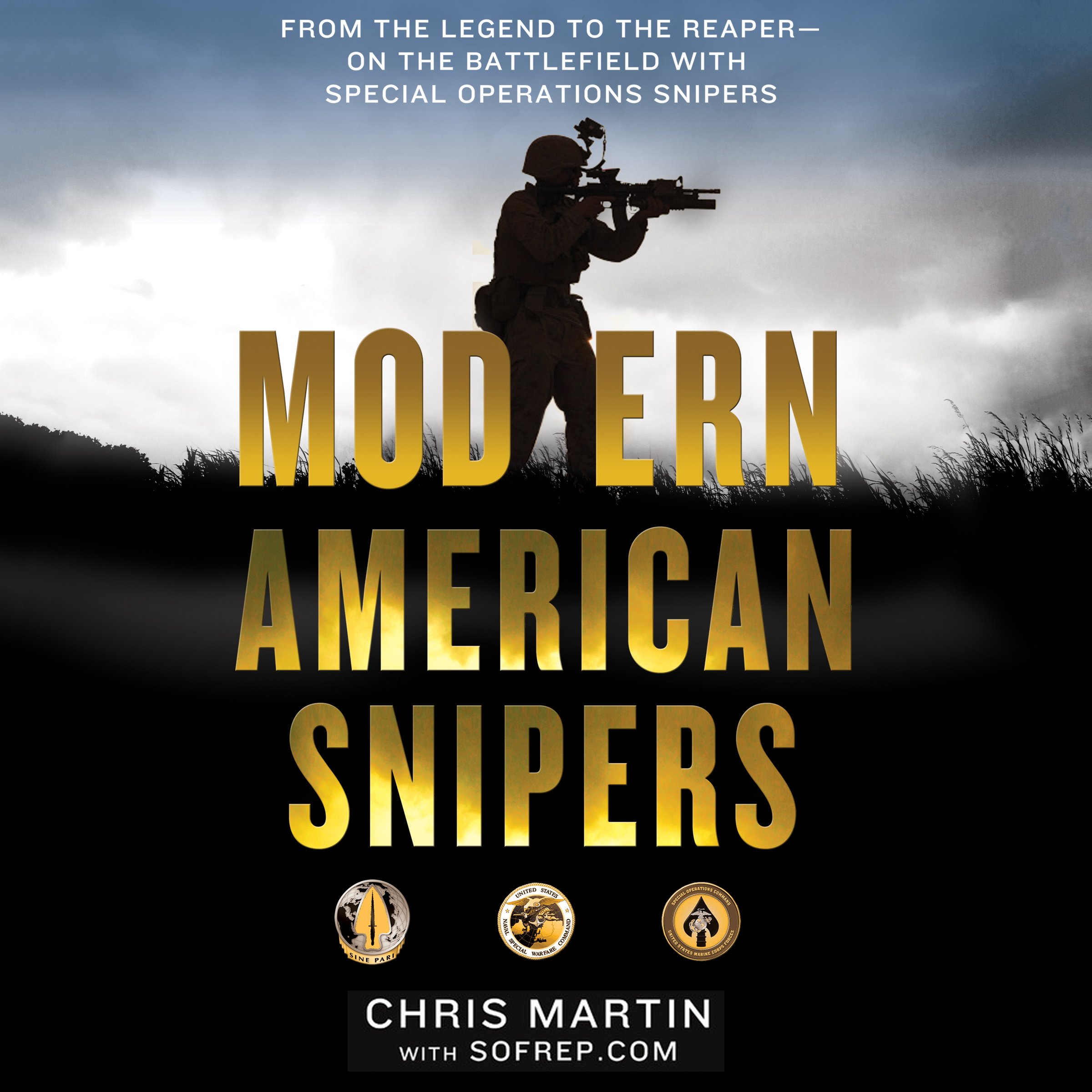 Cover art for Modern American Snipers