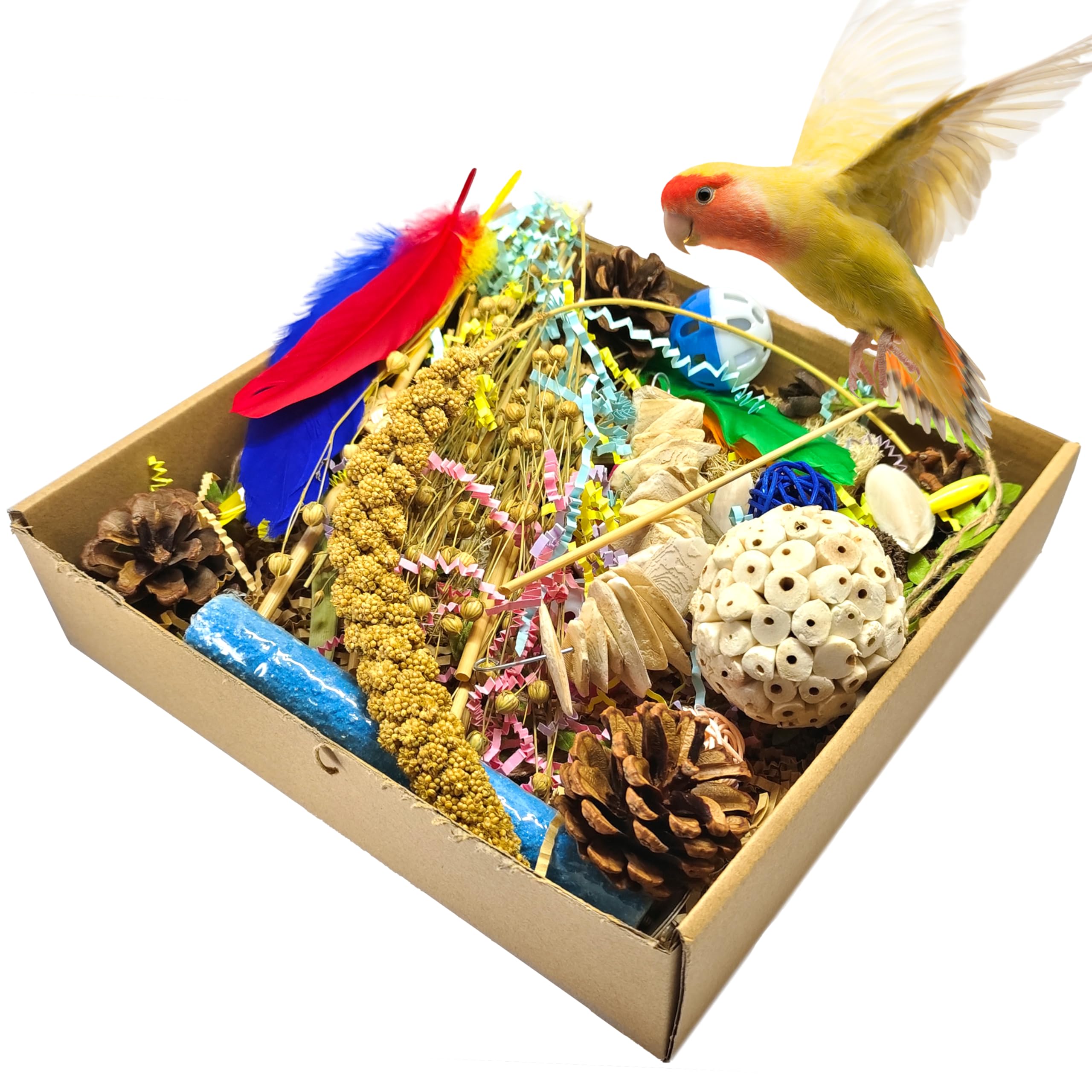 SUAIOLOAQ Bird Foraging Tear Toy, Natural chew Toy for Cockatiels, Parakeets, Conures, Lovebirds and Small to Medium Sized Parrots