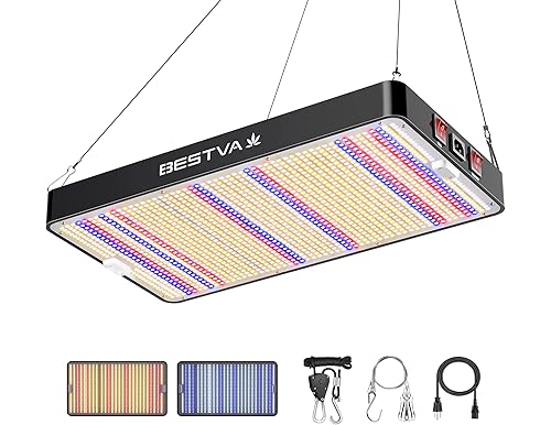 Best 3000W LED Grow Lights Reviews – Top Picks for 2024