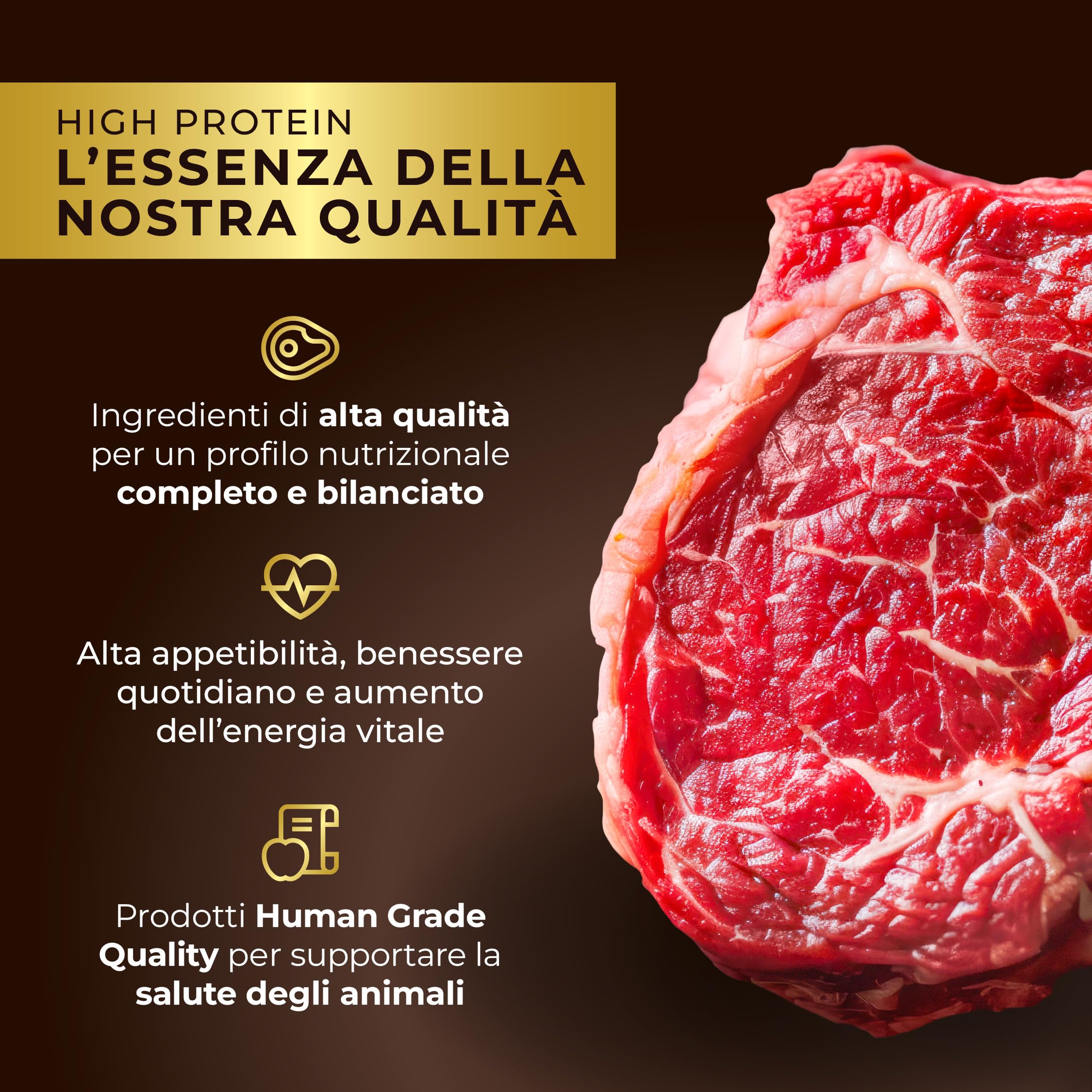 Polpette al Sugo per Cani Adulti – Alimento Umido Completo e Gustoso, Tenere Polpette in Salsa Ricca, Alta Appetibilità, Nutrizione Bilanciata (24 x 150g, Manzo)