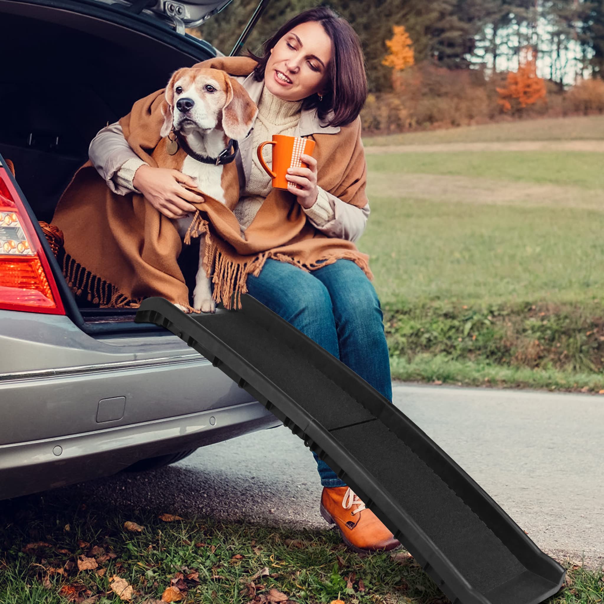 ACXIN Rampa per cani pieghevole, per auto, pieghevole, in plastica, antiscivolo, fino a 90 kg, 156 x 40 cm