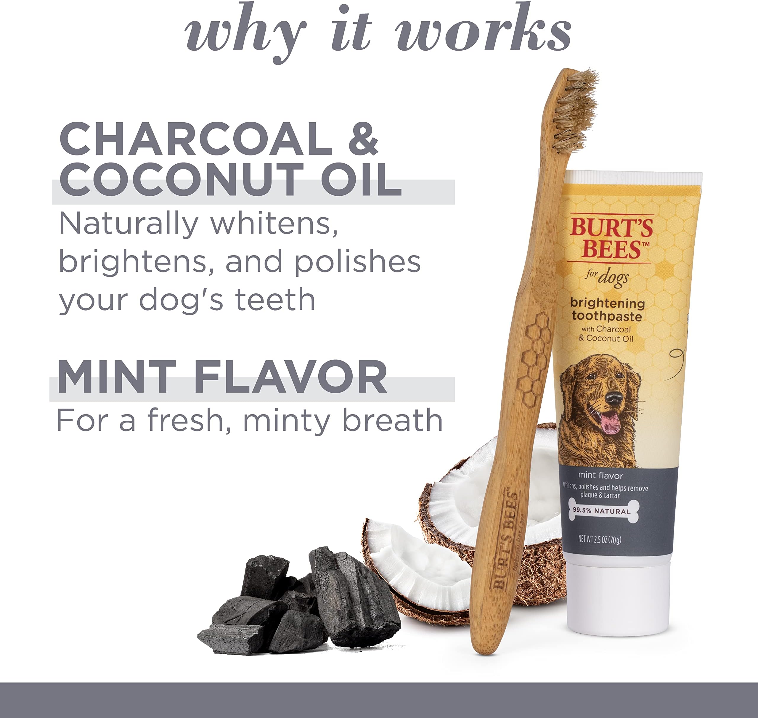charcoal toothpaste for dogs