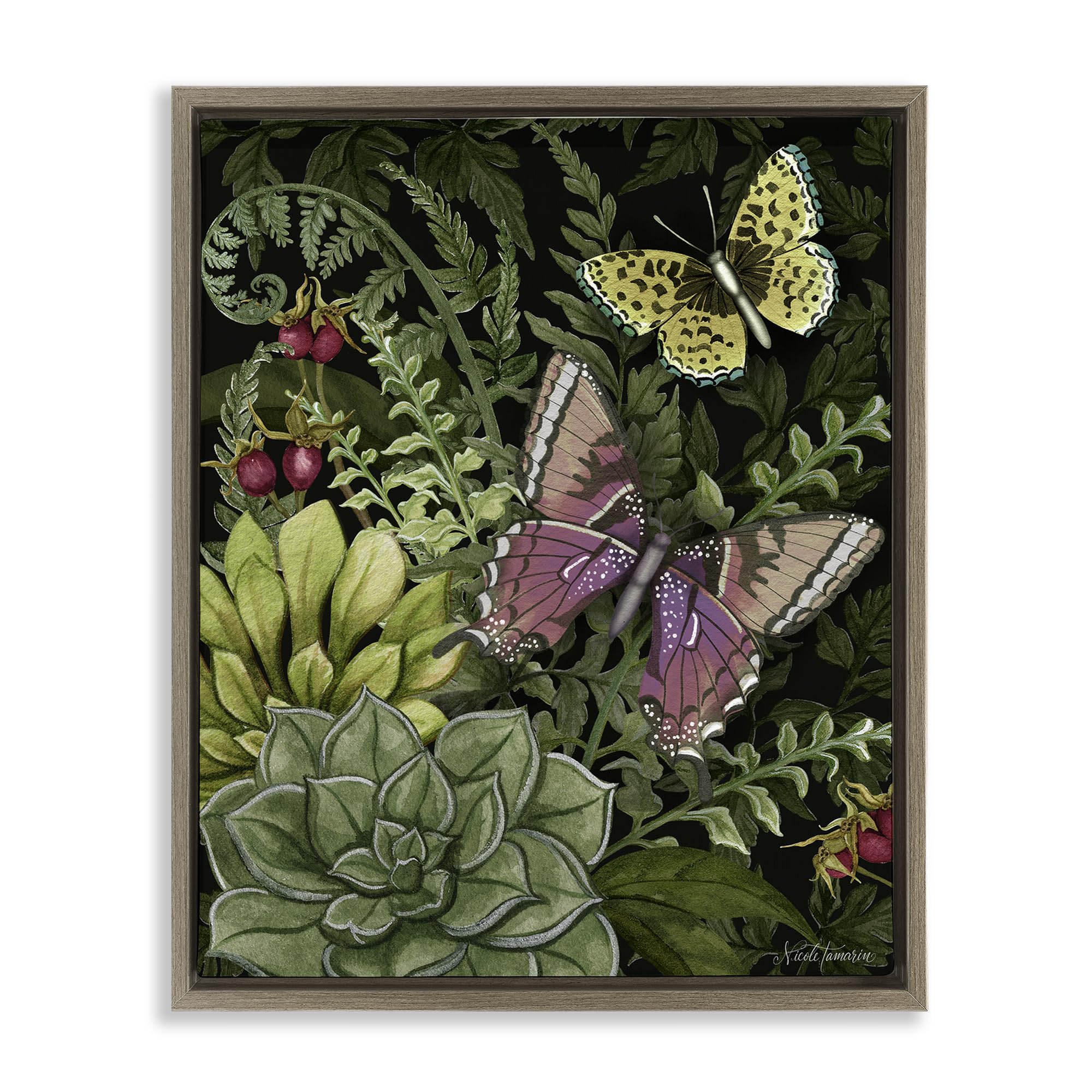 Stupell Industries Midnight Garden Butterflies_v1 'Dark Succulents Midnight Garden', Floating Frame Canvas Art, Brown, 17 X 21 Inches, Easy To Hang And Sturdy, Made In Usa, By Nicole Tamarin