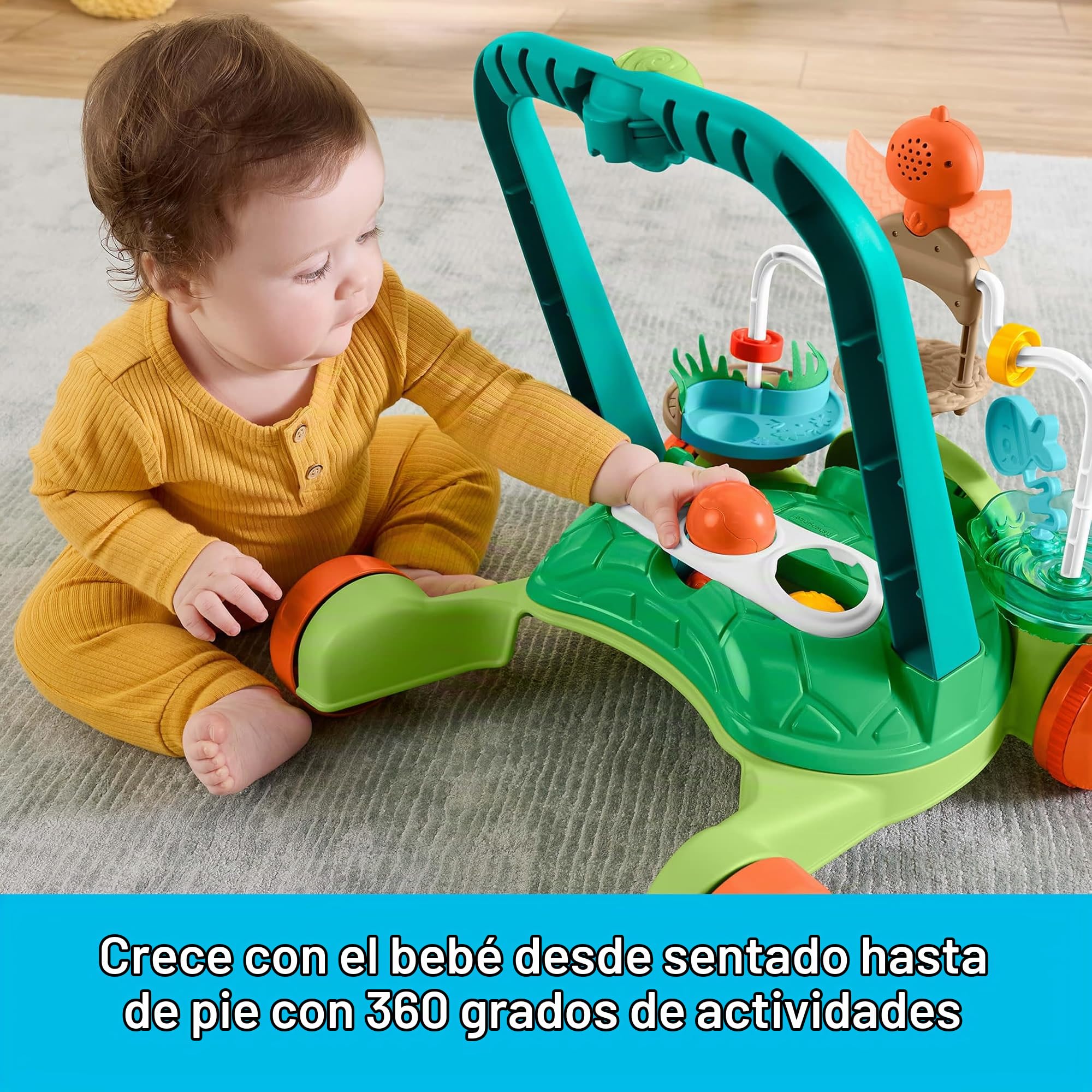 Fisher-Price Andador Tortuga Moves with You Juguete de Empuje Bebé