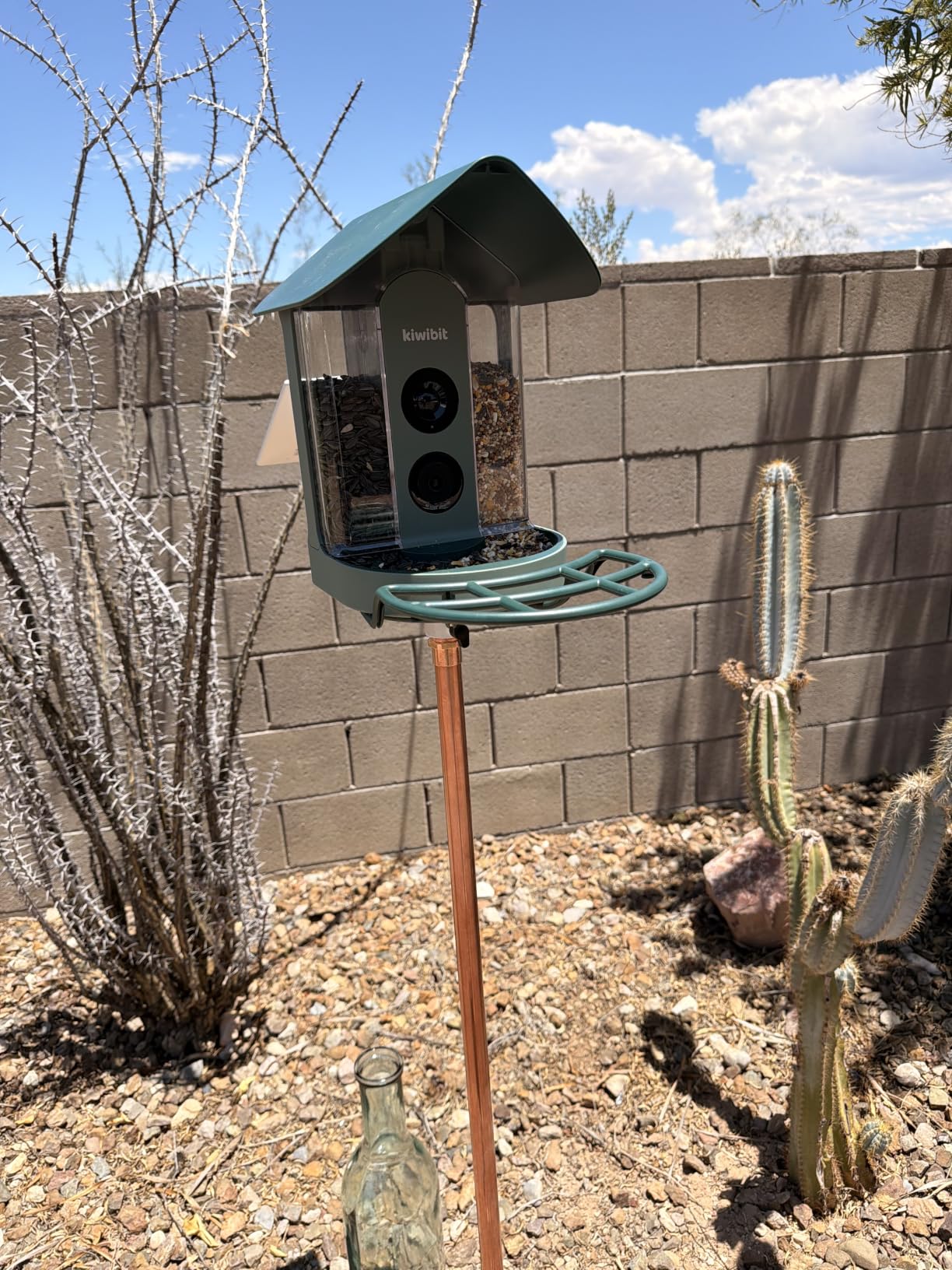 Smart Bird Feeder with 4K AI Camera Solar Powered, 8MP Photos photo review