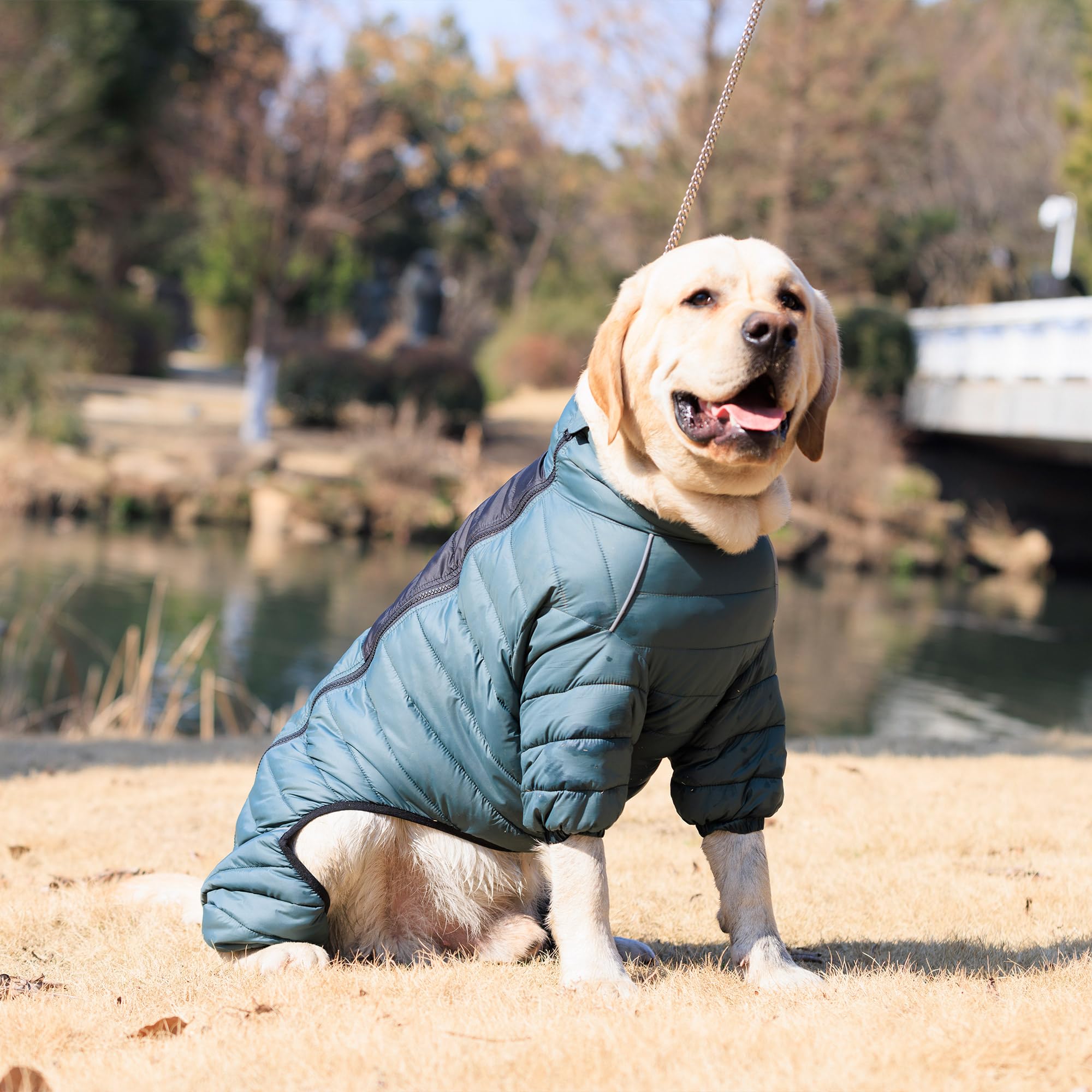 Hundemantel, warme Hundejacke, 4 Beine bedeckt, wasserdicht, Winddicht, reflektierende, warme Hundeweste, Hundeschneejacke für kleine, mittlere und große Hunde.ArmyGreen XL
