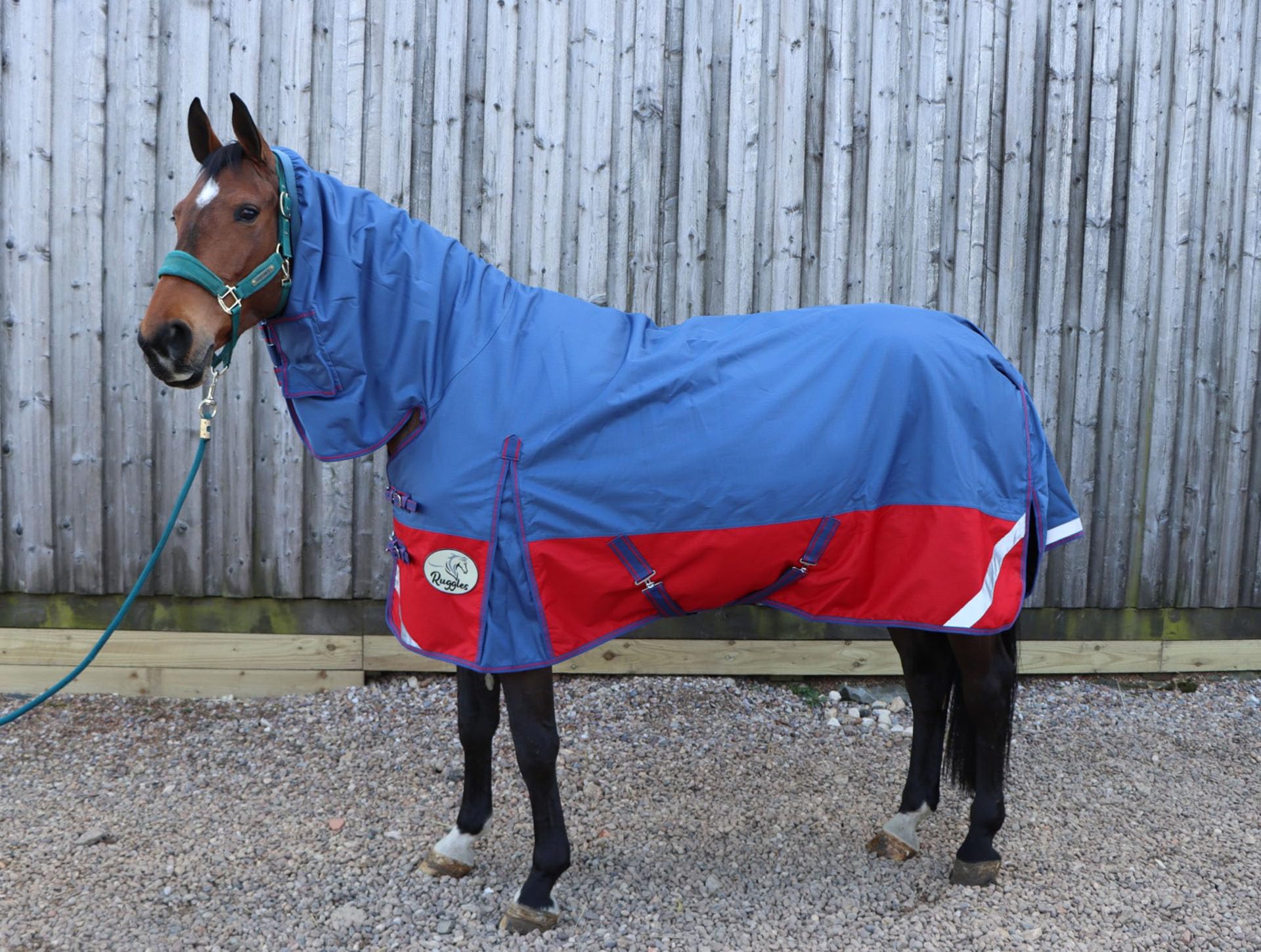 Ruggles 100g Combo Turnout Rug For Horse and Pony, Waterproof/Breathable 1200D Teflon Coated Outer Fabric - Ideal for Wet and Windy Weather (5' -7') (Navy and Red, 6' 3")