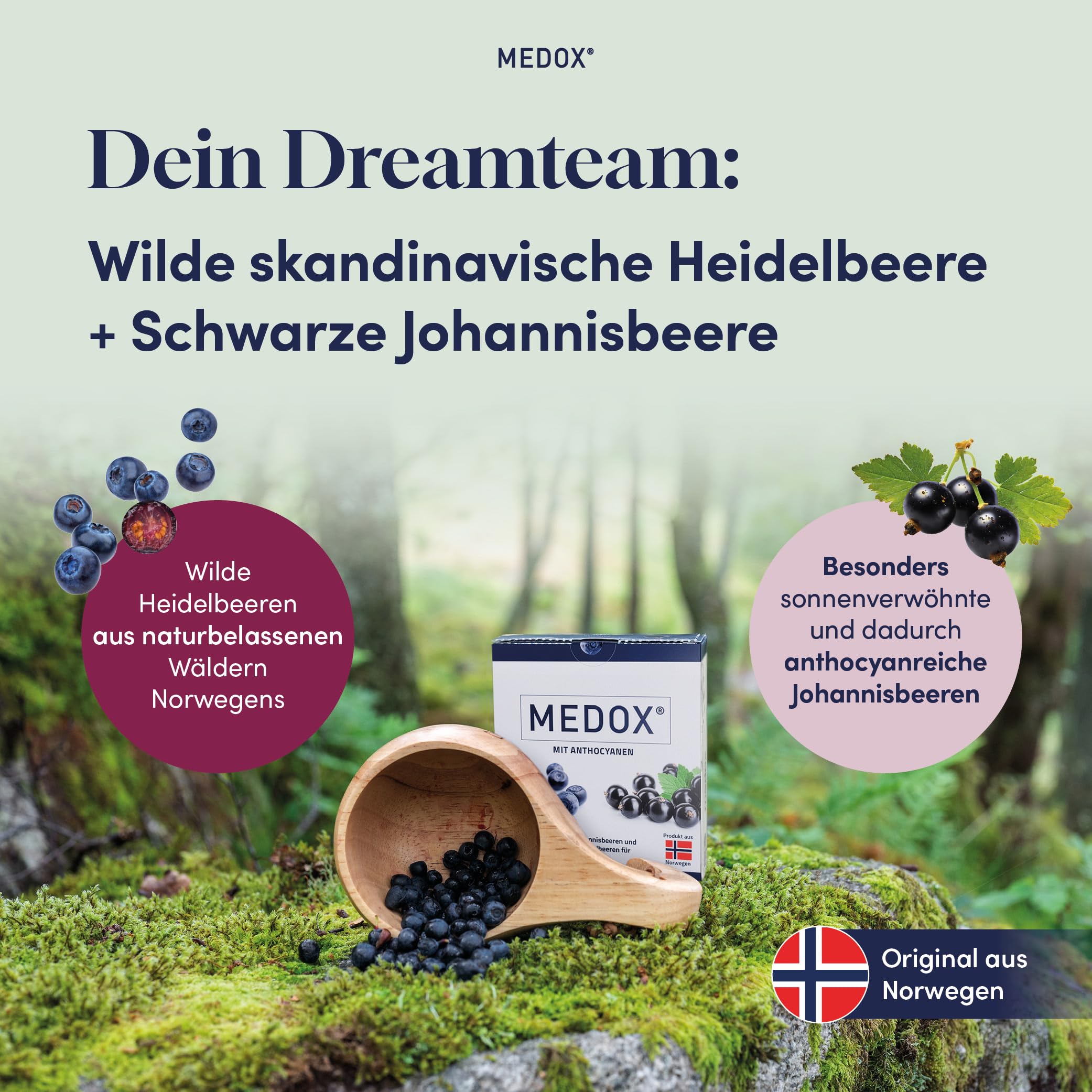 MEDOX Klassisch Anthocyane Kapseln, 30 Kapseln | Wilde Heidelbeeren & Schwarze Johannisbeeren, 60 mg standardisierte Anthocyane, 17 Anthocyane, Gefäße & Venen, vegan