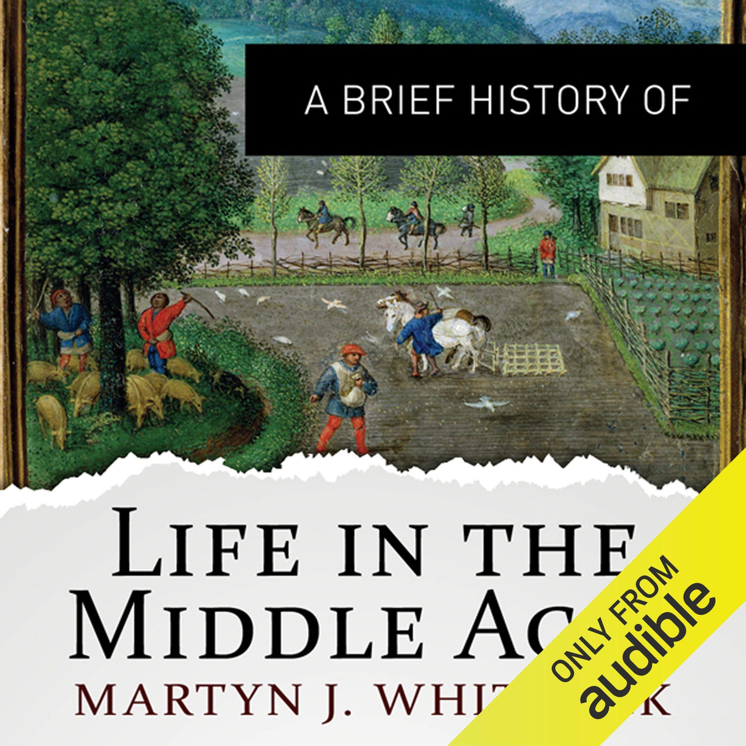 Cover art for A Brief History of Life in the Middle Ages