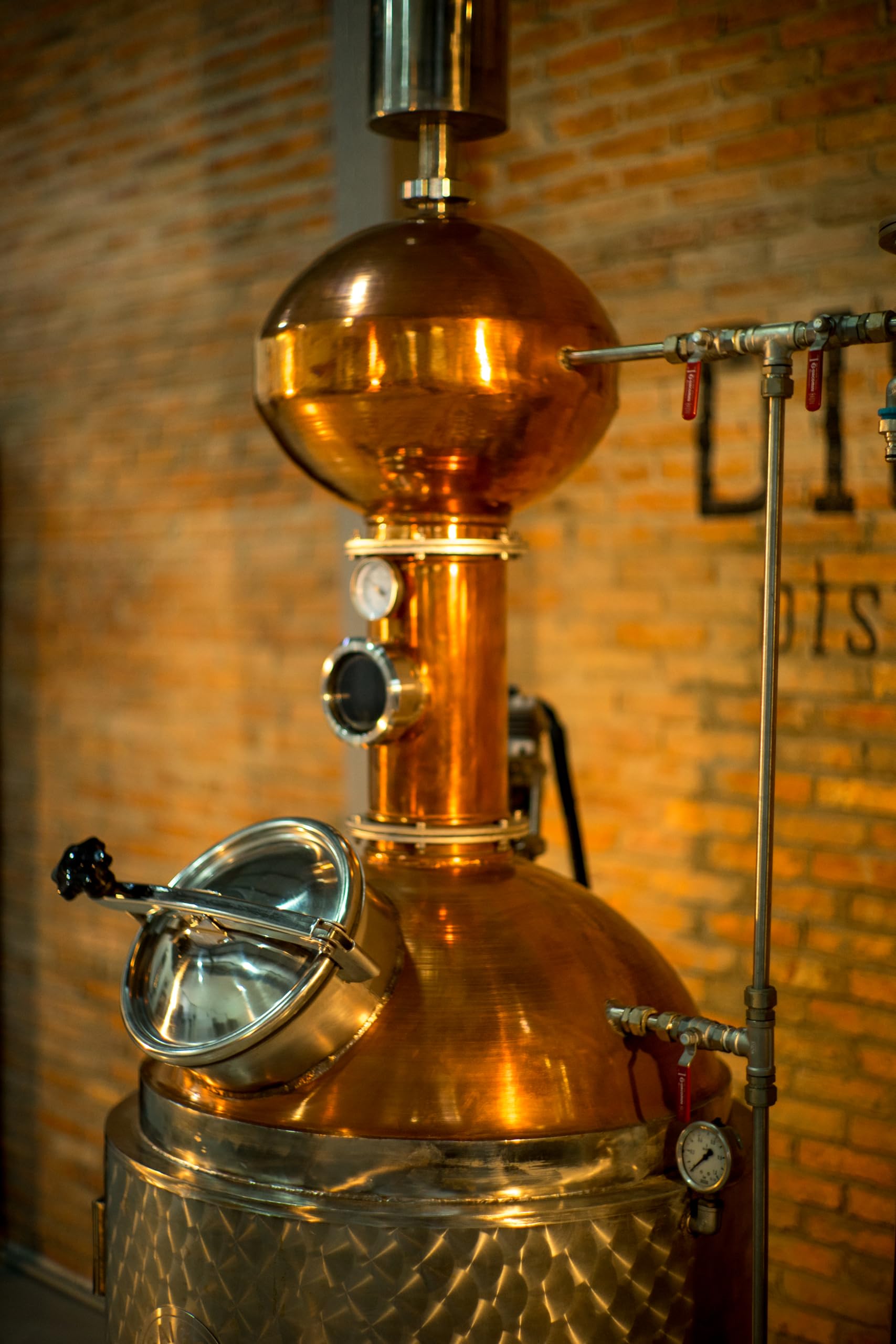 Saigon Baigur Premium Dry Gin (70cl, 43% Vol) Einzigartige Mischung aus 12 Vietnamesischen Botanicals, Erster Premium Dry Gin aus Ho-Chi-Minh-Stadt, Hergestellt in Einem Traditionellen Kupferkessel