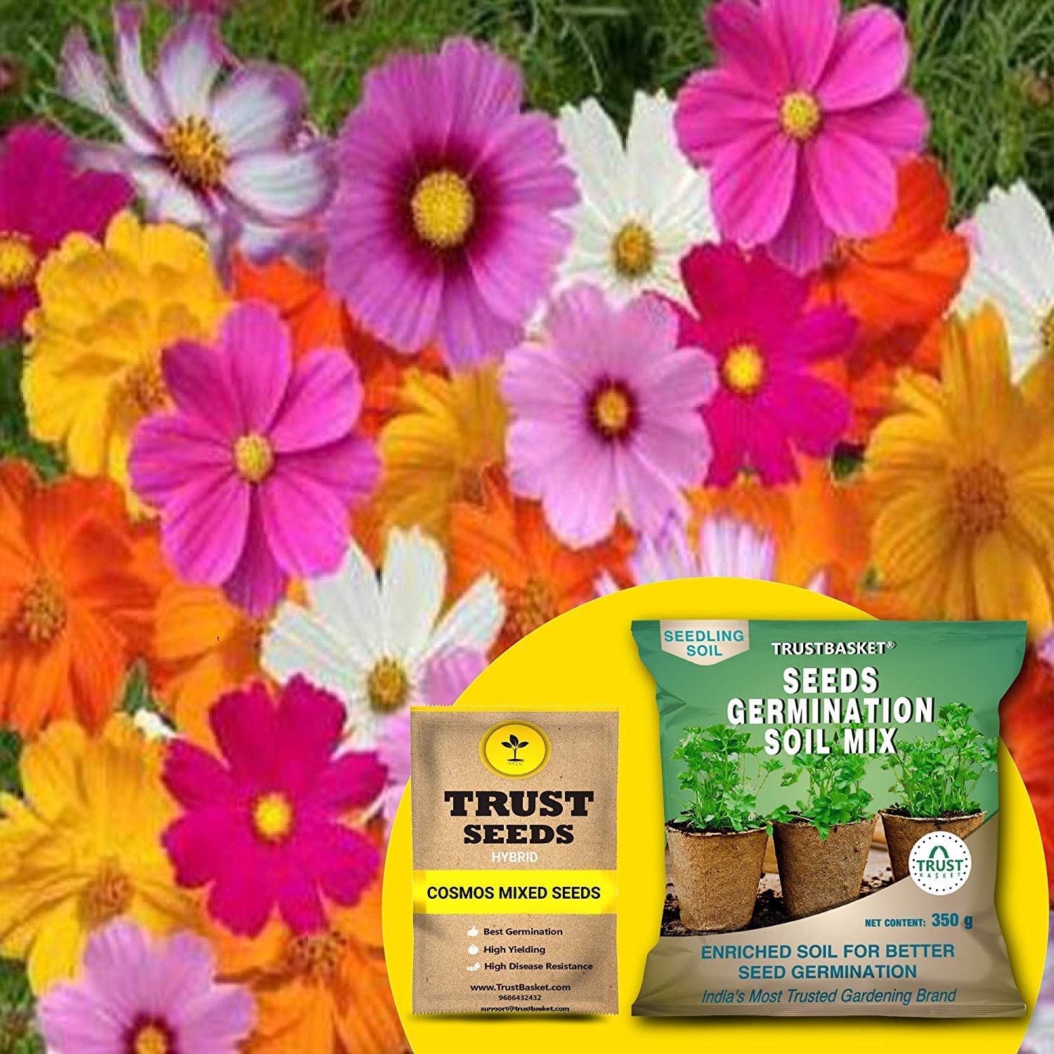 TrustBasket Cosmos Mixed (Hybrid) Seeds with Free Germination Potting Soil Mix (B082FCTRWP) Amazon Price History, Amazon Price Tracker