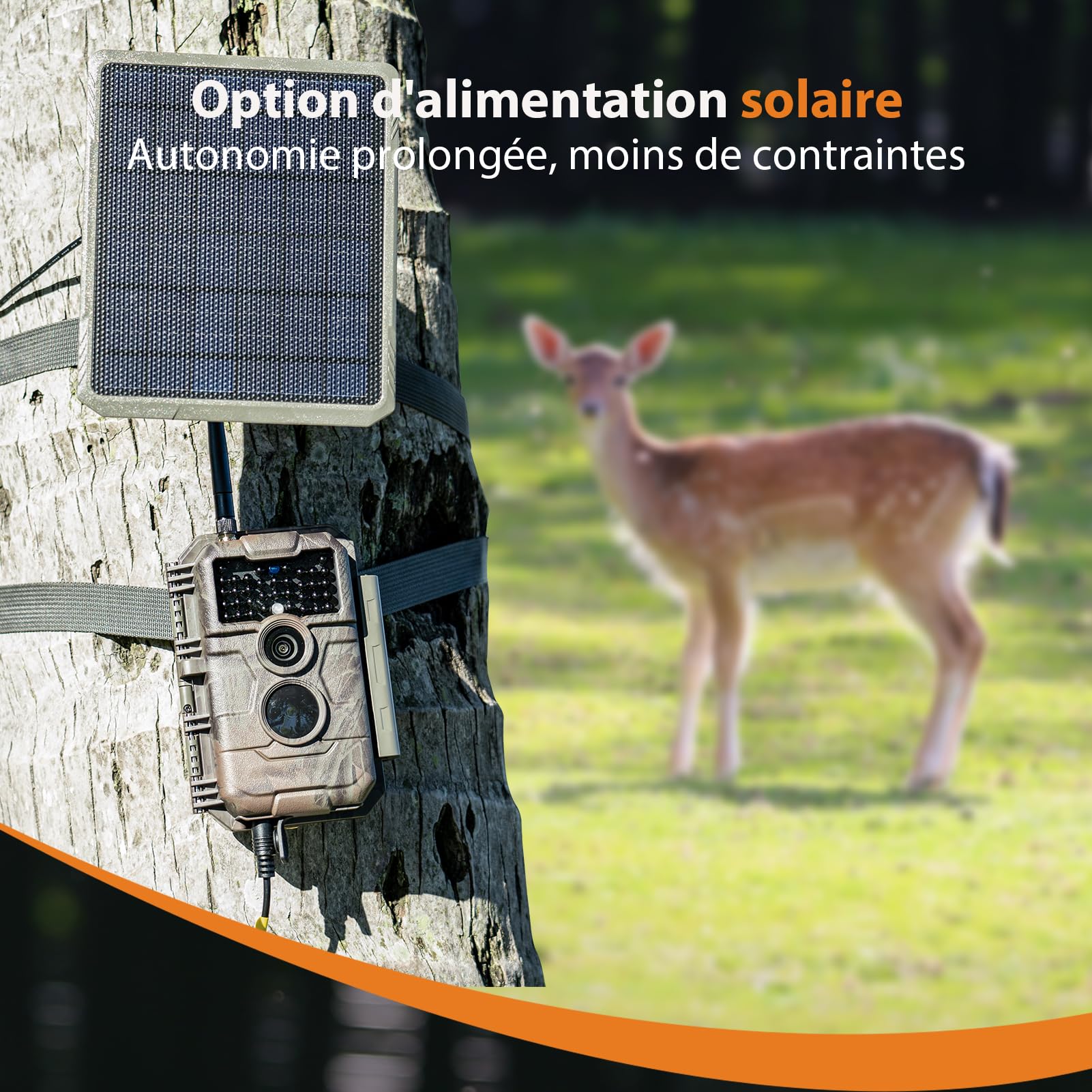 GardePro E6 Camera de Chasse WiFi, 64MP, vidéo 1296p H.264, Angle de Vue 110°, caméra de Chasse avec Vision Nocturne, détection de Mouvement, piège Photographique pour Jardin