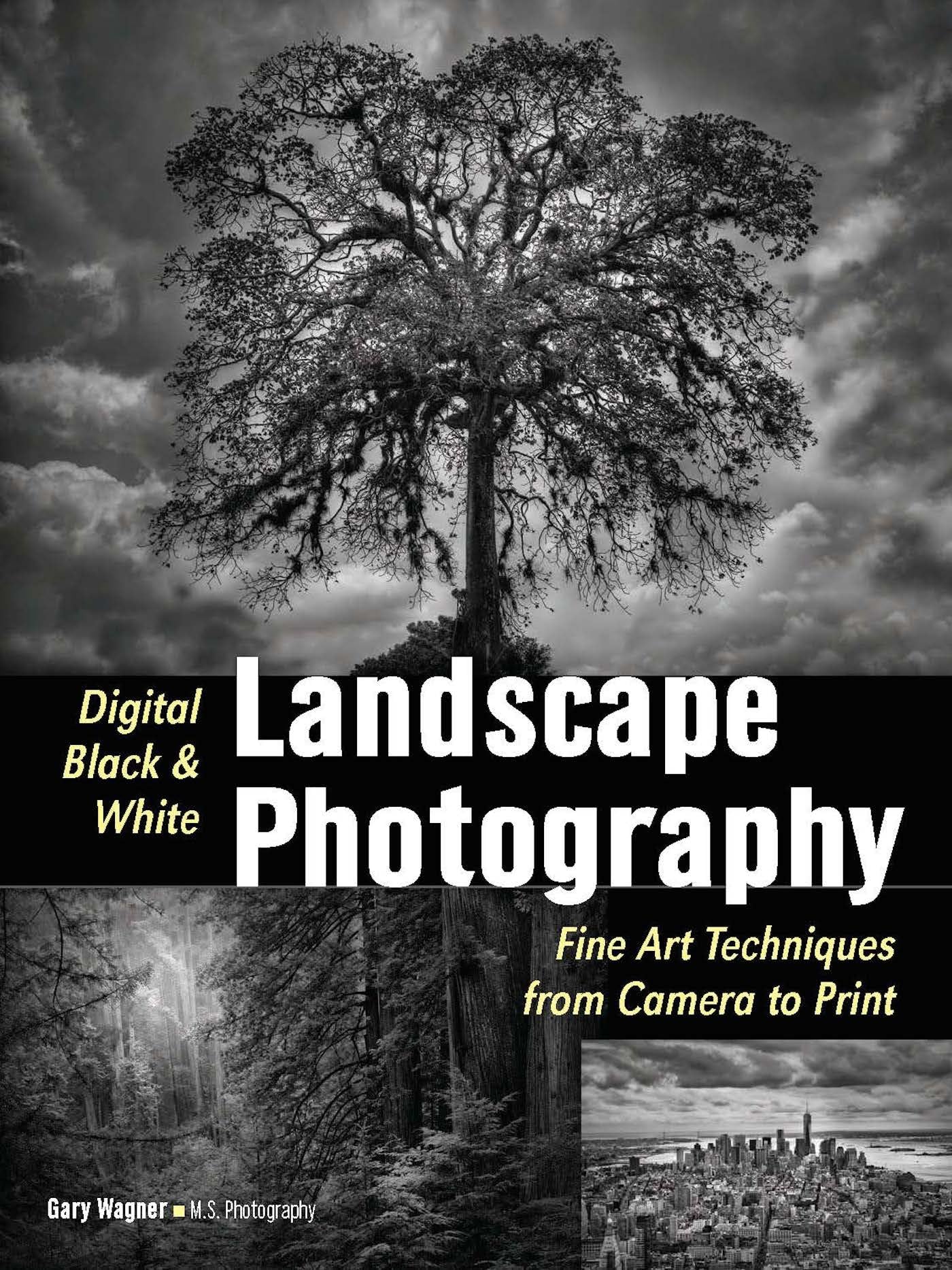 Digital Black & White Landscape Photography: Fine Art Techniques from Camera to Print
