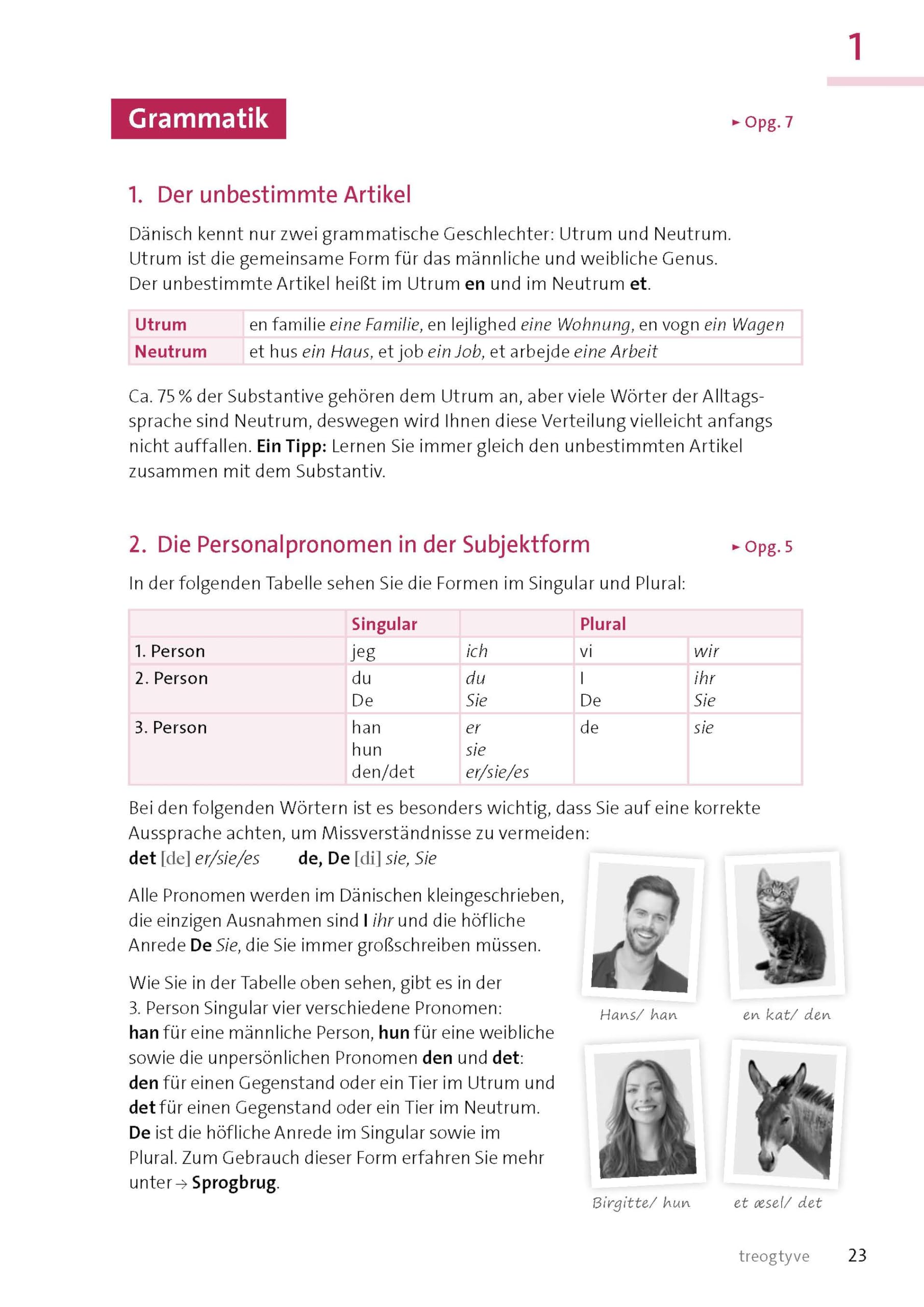 Langenscheidt Dänisch mit System: Dänisch gründlich und systematisch lernen. Mit 2 Büchern, 3 Audio-CDs, 1 MP3-CD und MP3-Download (Langenscheidt mit System)