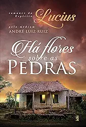 Há Flores Sobre as Pedras