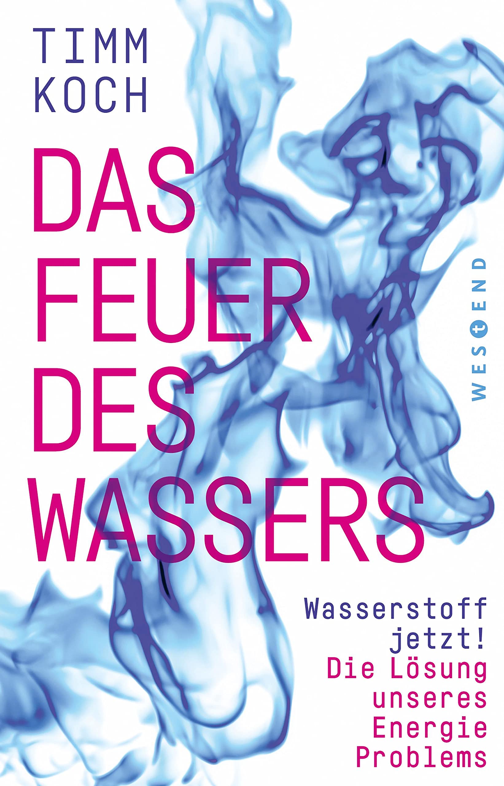 Wasserstoff ETF