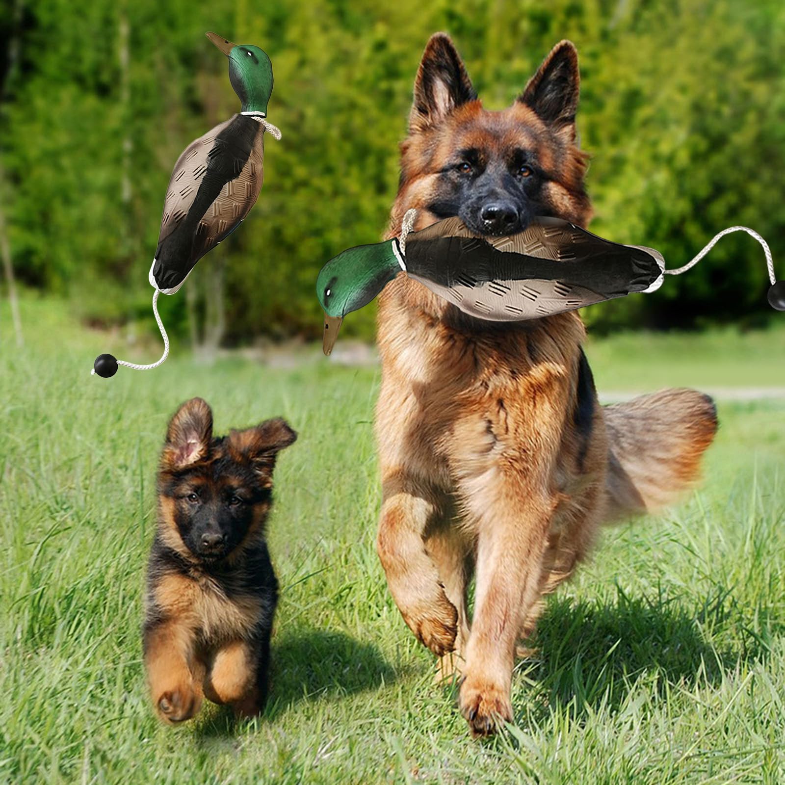 Pato Dummy Dog Training,Mordedor Perro Dummy Flotante,Parachoques de Pato Imita a un Dummy de Pato como Juguete para el Entrenamiento de Cachorros o Perros de Caza Adultos