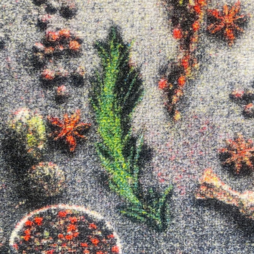 Teppich-Traum Tapis de Cuisine avec Dos en Gel antidérapant avec cuillères de Cuisine et épices colorées, 80 x 150 cm