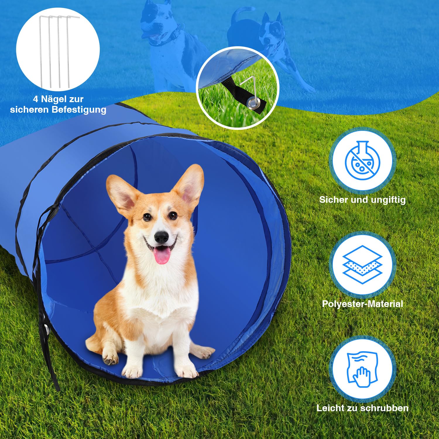 Agility Set Hunde, 5-teilig für Hundetraining & Freizeit | Zubehör umfasst Sprungring, Sprungstange, Tunnel, Slalomstangen, Pausenmarkierung, Ball, Pfeife und Transporttasche