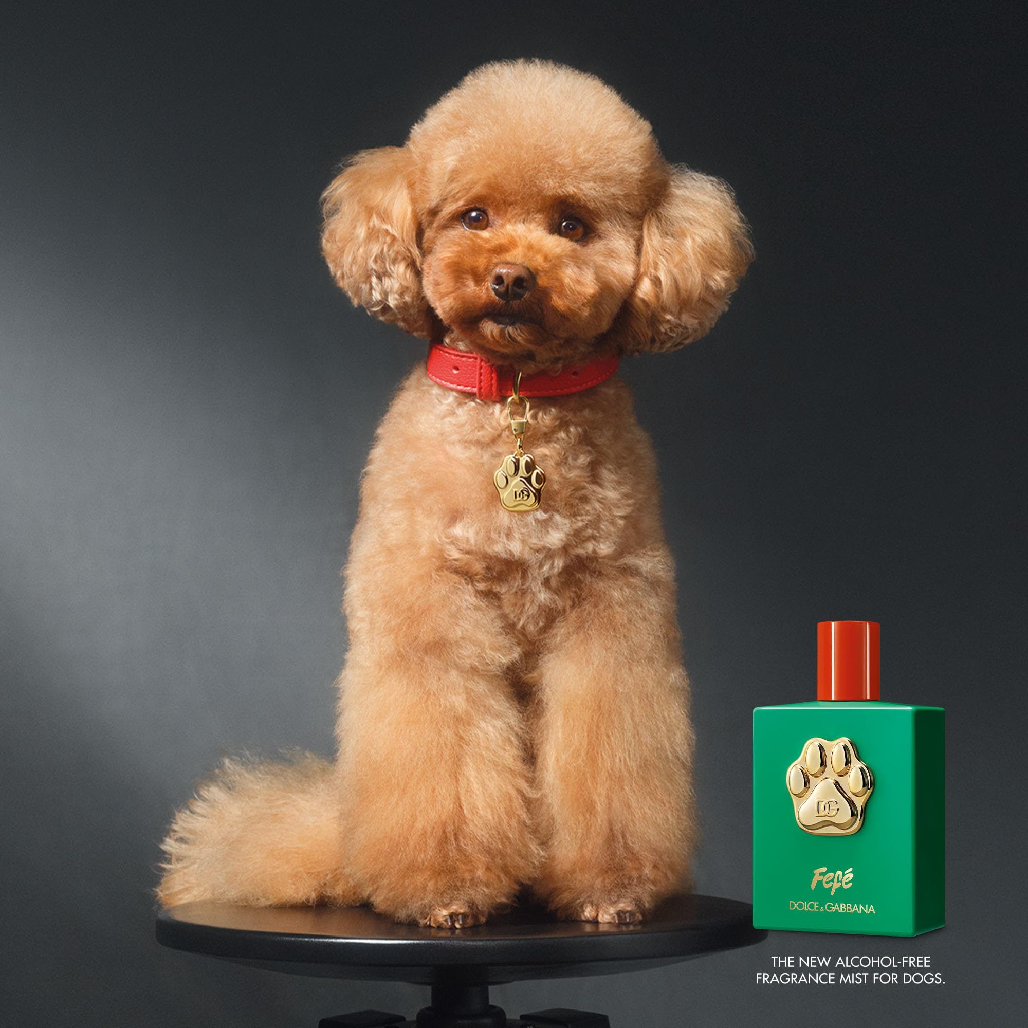 Dolce & Gabbana Fefé Alcohol-free fragrance mist for dogs 100ml