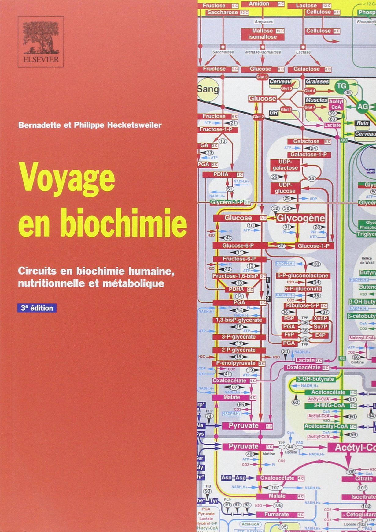 Voyage en biochimie: Circuits en biochimie humaine, nutritionnelle et métabolique