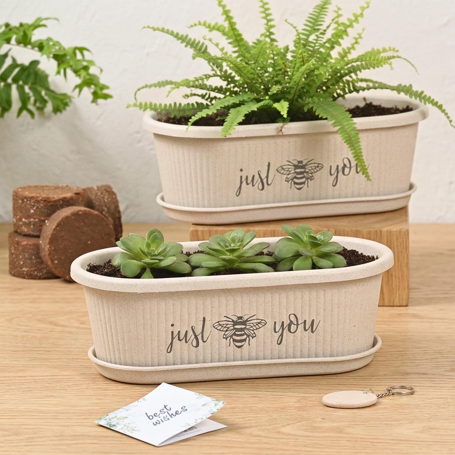 Eha Earth-Friendly Printed Regalia Planters for Home Decor | 12 Inch, Pack of 2 with Growmix | Plant Gifts Made with Rice Husk Biocomposite | Flower Pot for Living Room| Sand Castle