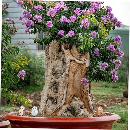 Miniatura 3 de Happyyami 12 piezas de adorno de búho en miniatura, adorno de magdalena, escultura de búho, micro paisaje, estatua de búho, muñeca, juguetes,