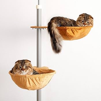 ボンビアルコン　キャットポール ボンビアルコン オンラインショップ / キャットポール