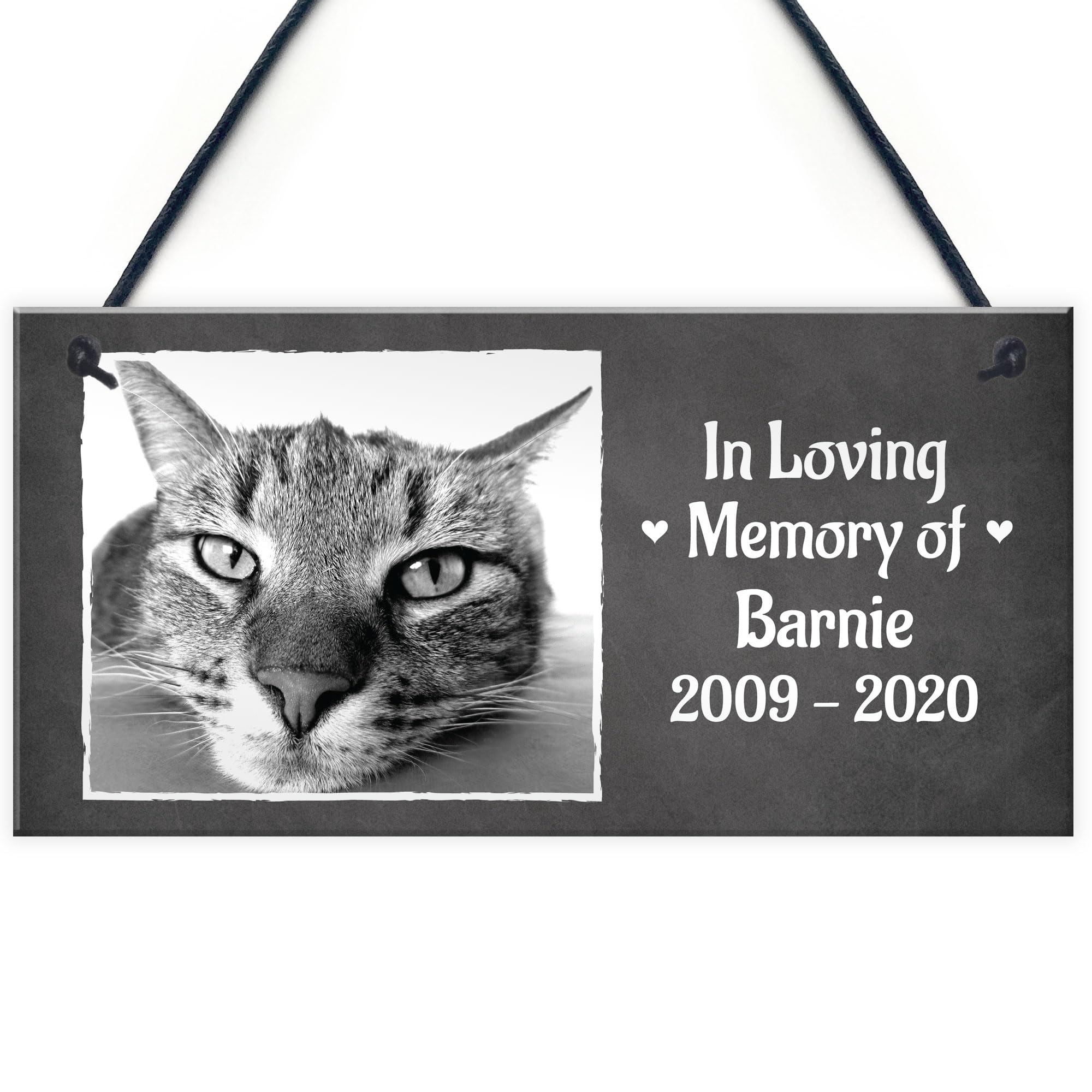 Red Ocean In Loving Memory PERSONALISED Pet Cat Memorial Plaque Grave Photo Sign