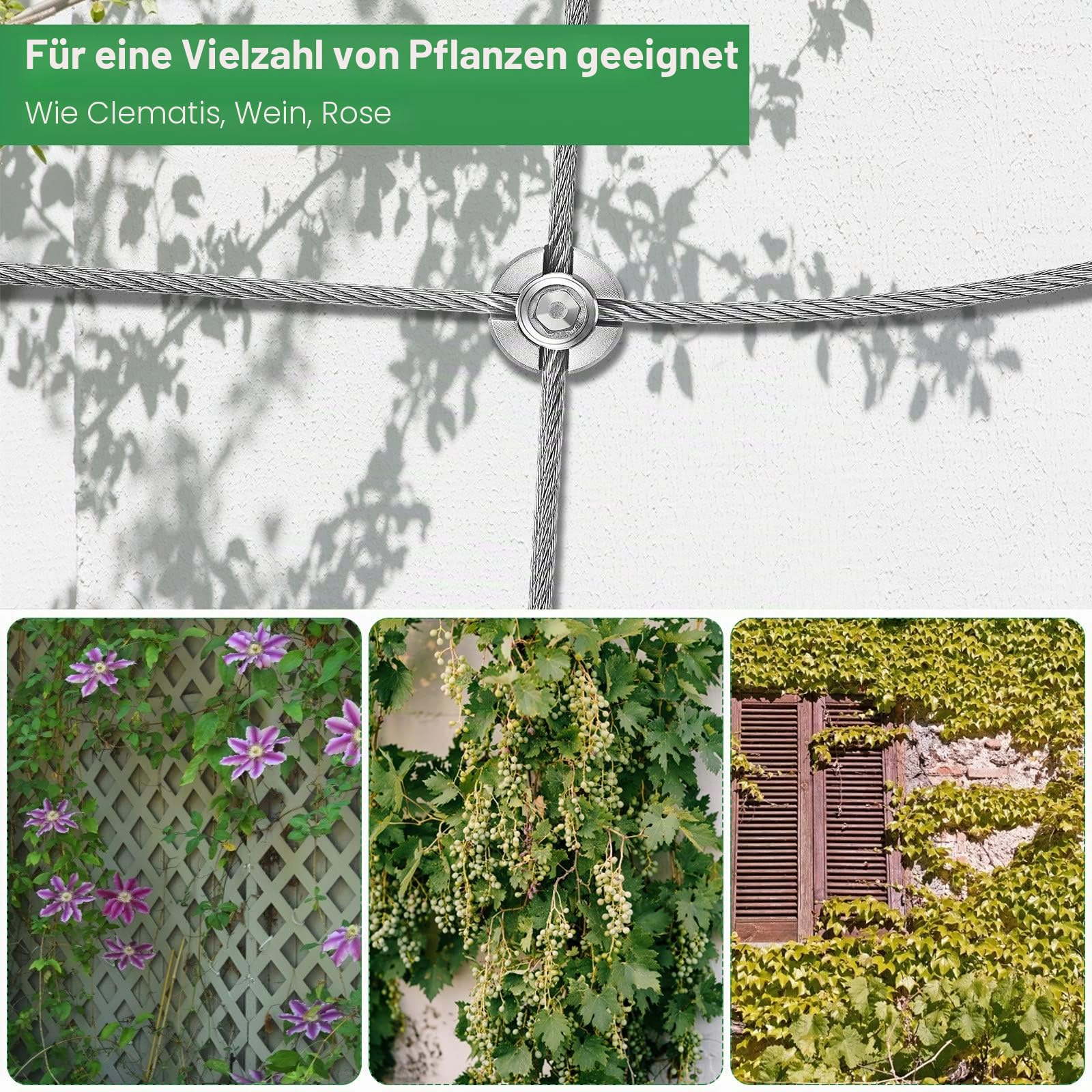 Rankhilfe aus Edelstahl für Kletterpflanzen 24m, 16 Halter,Kletterrose,Pflanze Die Rankhilfe Edelstahl mit 3 mm Durchmesser