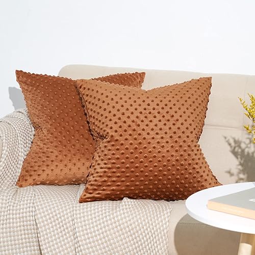 PHF Minky - Funda de almohada de lunares de 20 x 20 pulgadas, paquete de 2 fundas de cojín de terciopelo real de burbujas de Minky suave, acogedora,