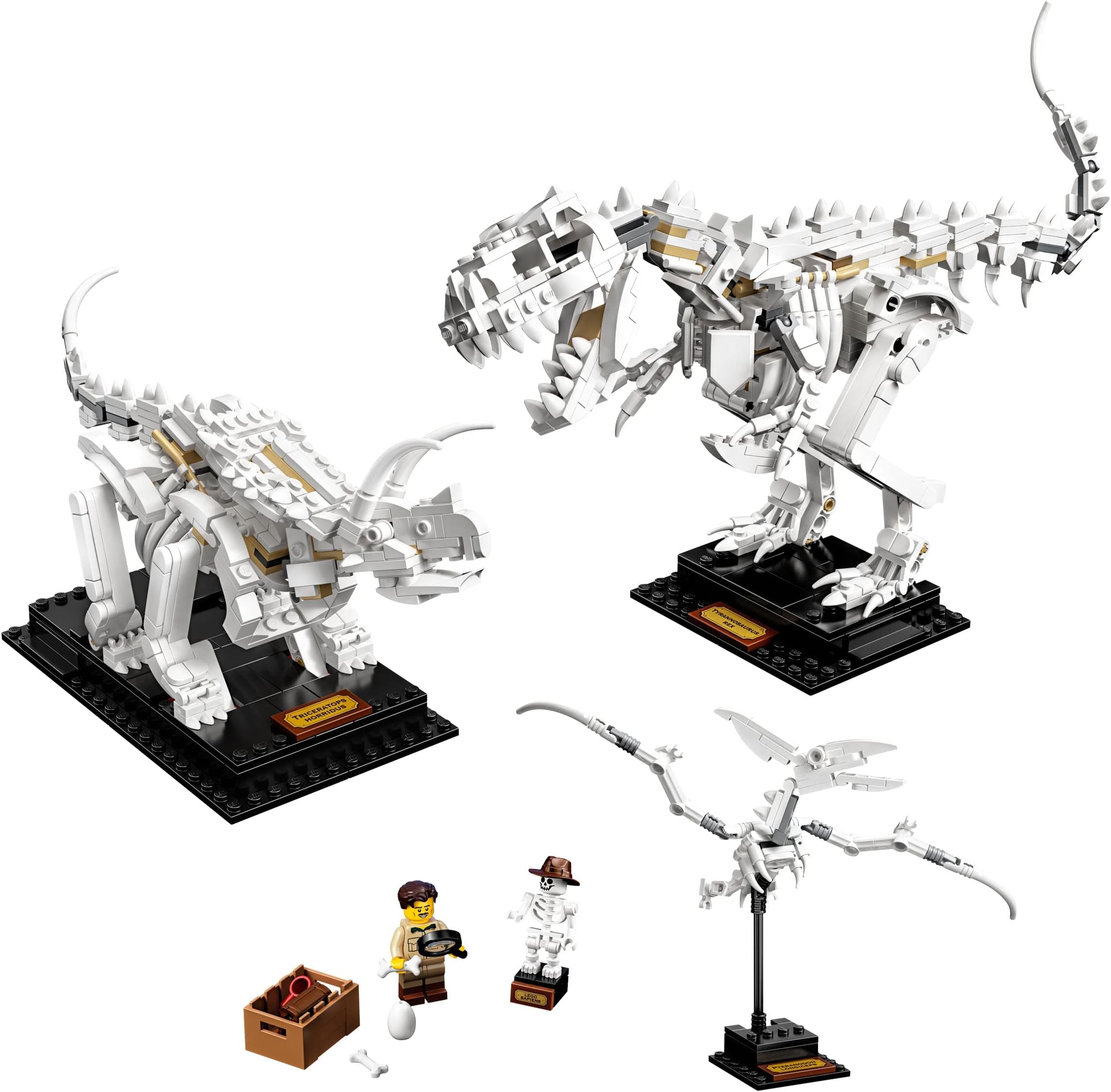 Ideas 21320 Dinosaur Fossils Building Kit (910 Pieces)