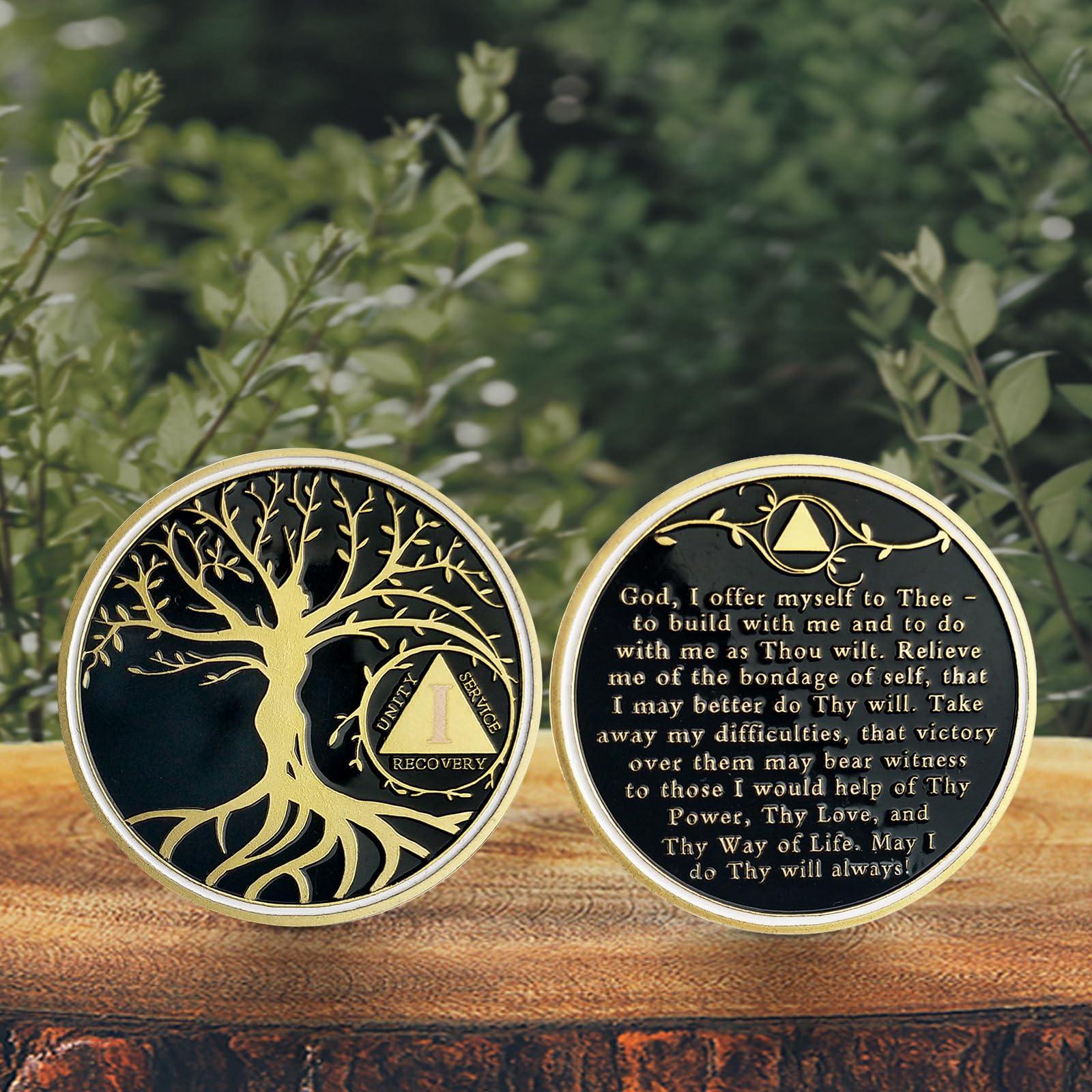 Four Seasons Tree Of Life Nüchternheit Münze – AA Chip & Recovery Token Für 1 Jahr & Jubiläen