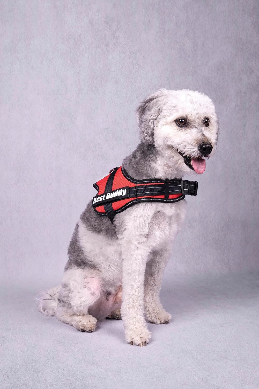 F Best Buddy Pluto Harness XXL 95-130 cm x 50 mm Red