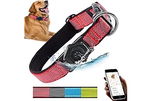 AirTag Dog Collar: Keep Your Pup Safe and Connected