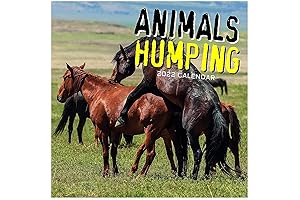2022 Wall Calendar Animals Humping: Hilarious White Elephant Gift