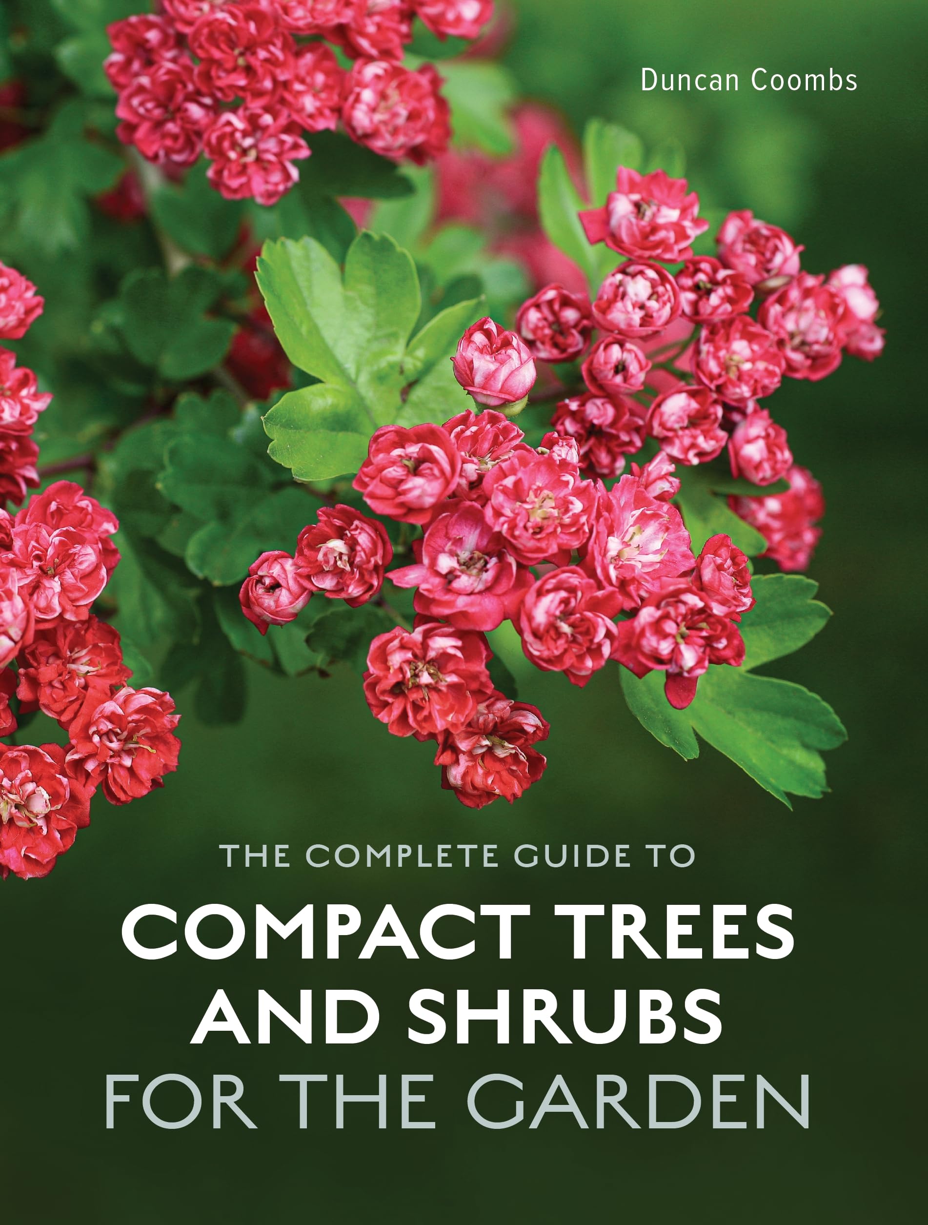 The Complete Guide to Compact Trees and Shrubs